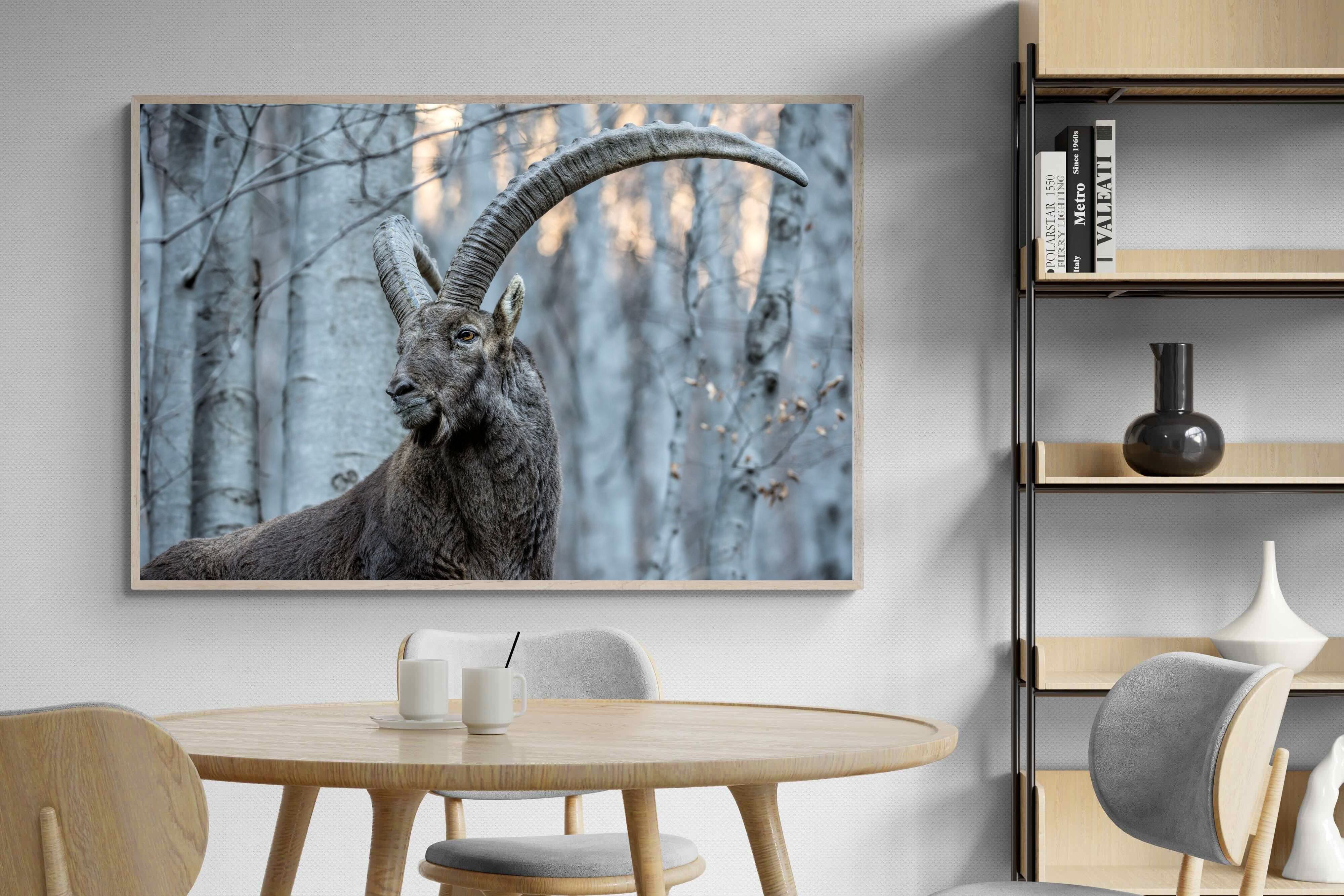 Pixalot Ibex