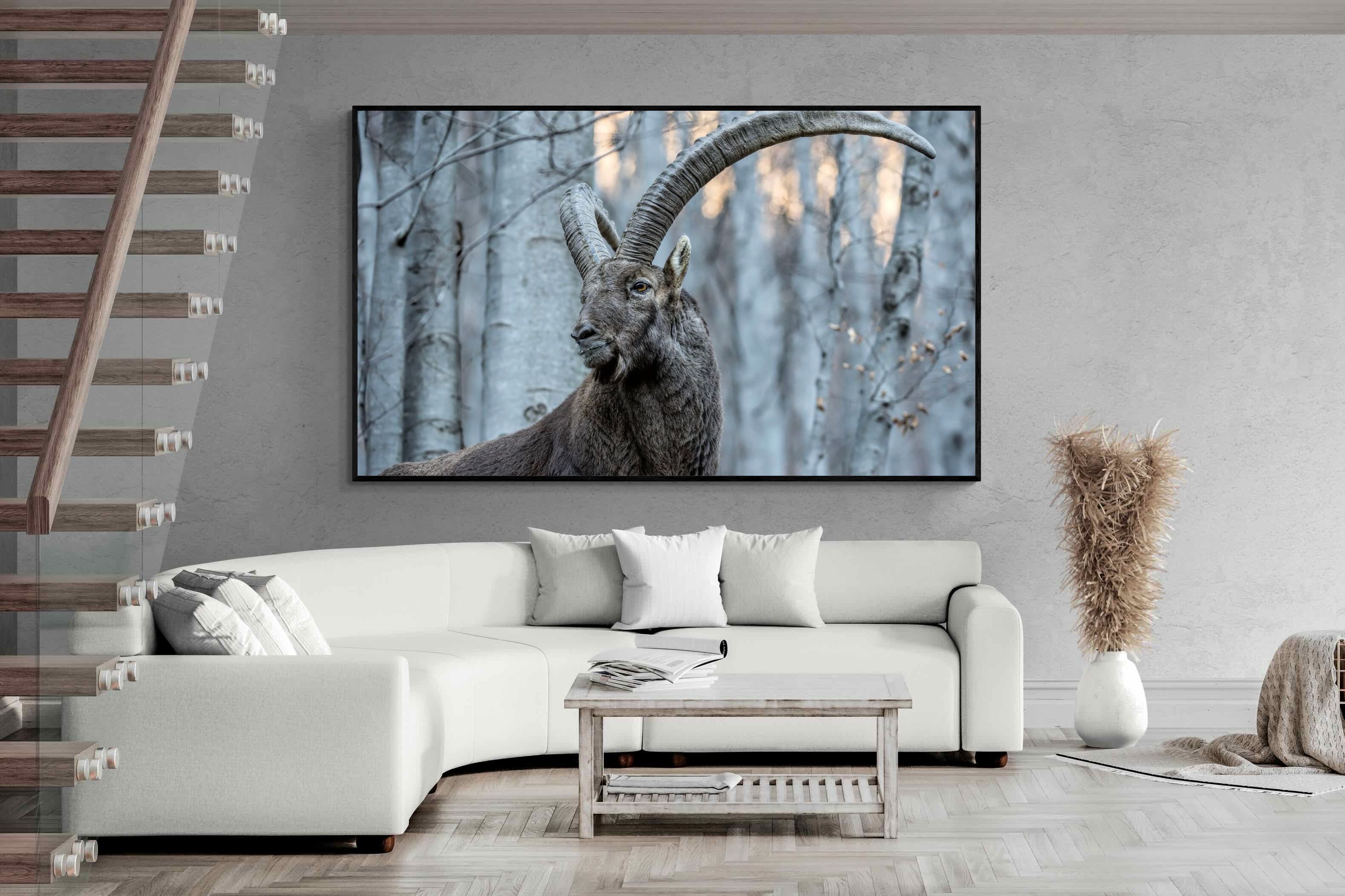 Pixalot Ibex