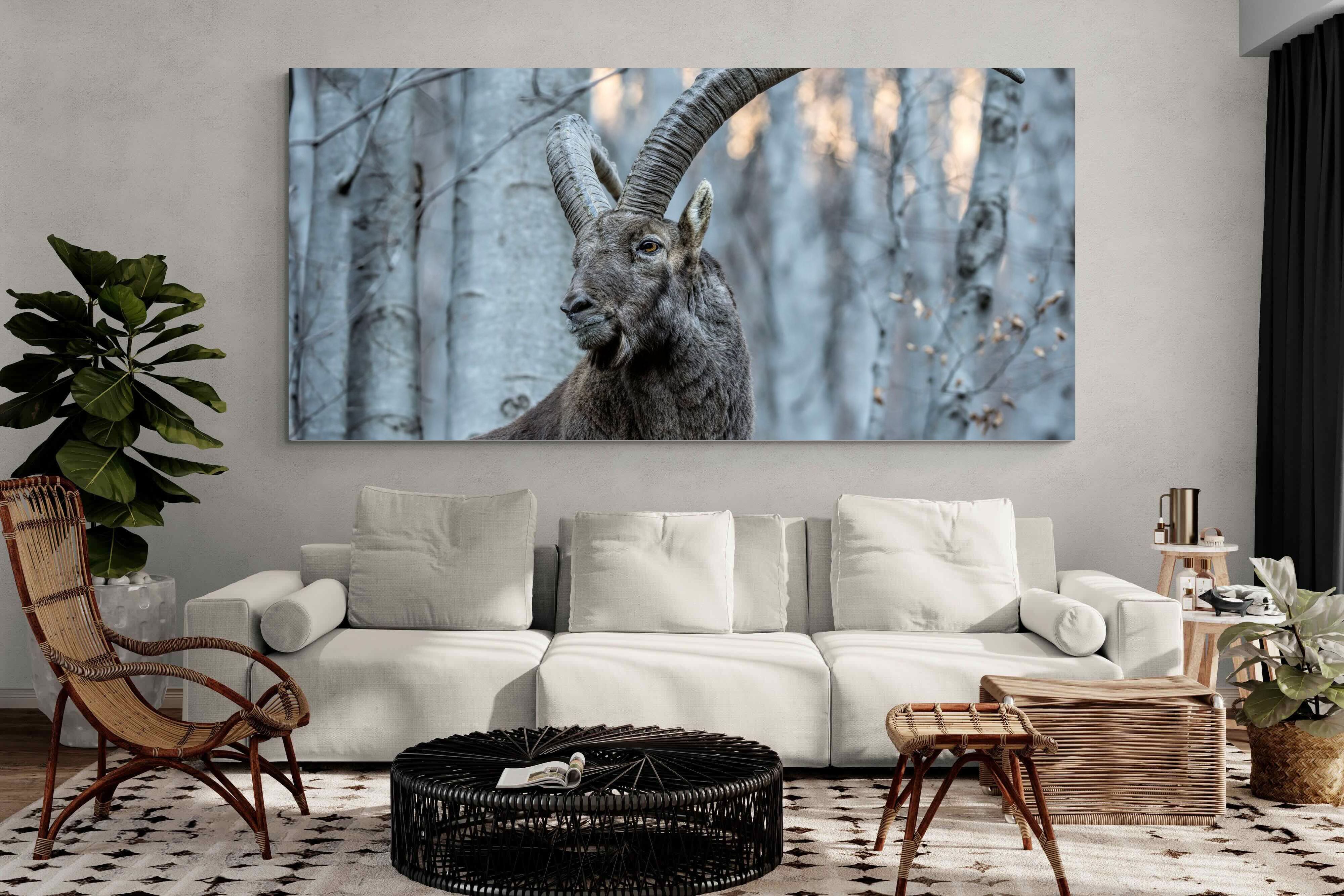 Pixalot Ibex