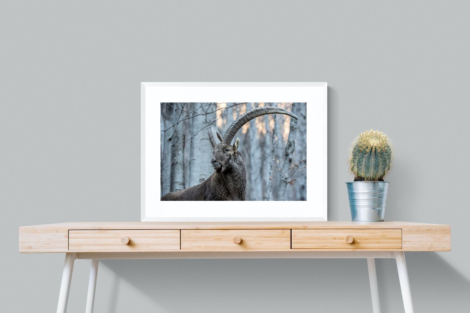 Pixalot Ibex