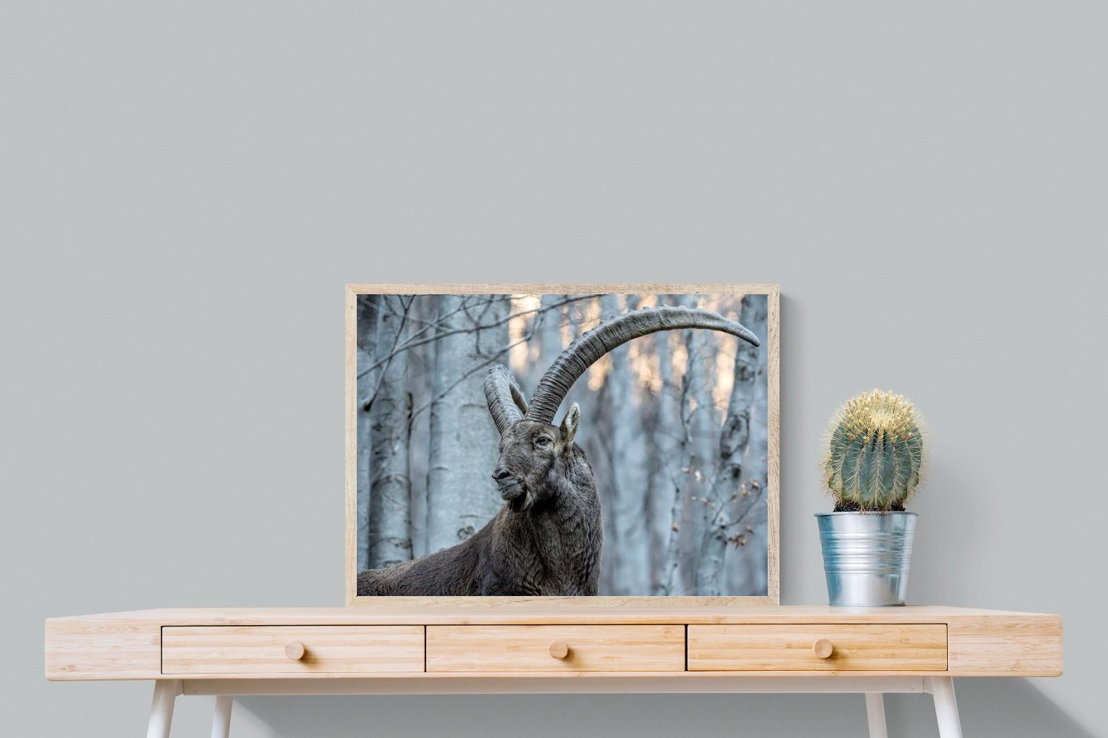 Pixalot Ibex