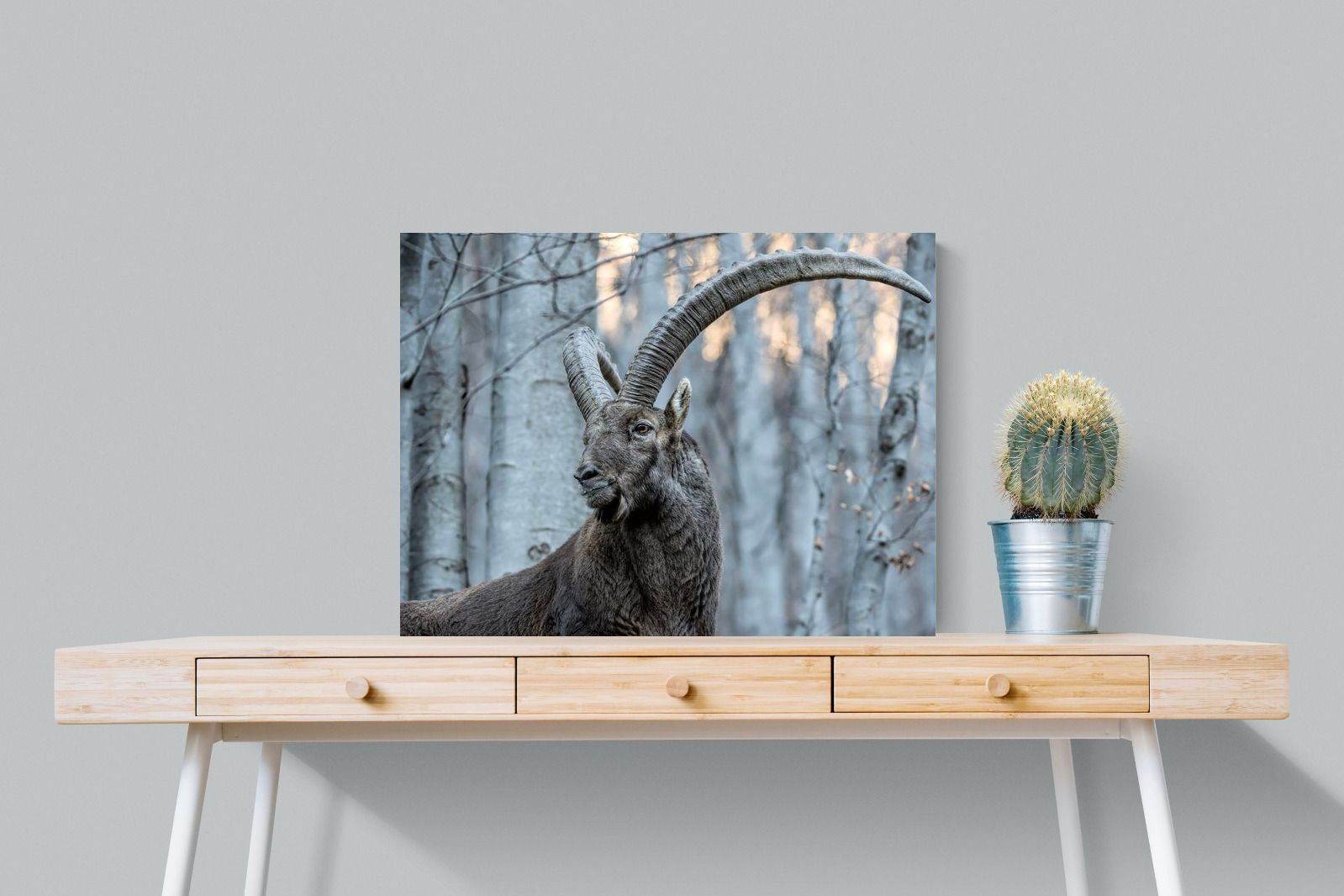 Pixalot Ibex