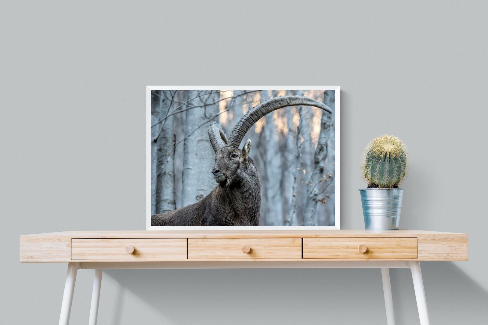 Pixalot Ibex
