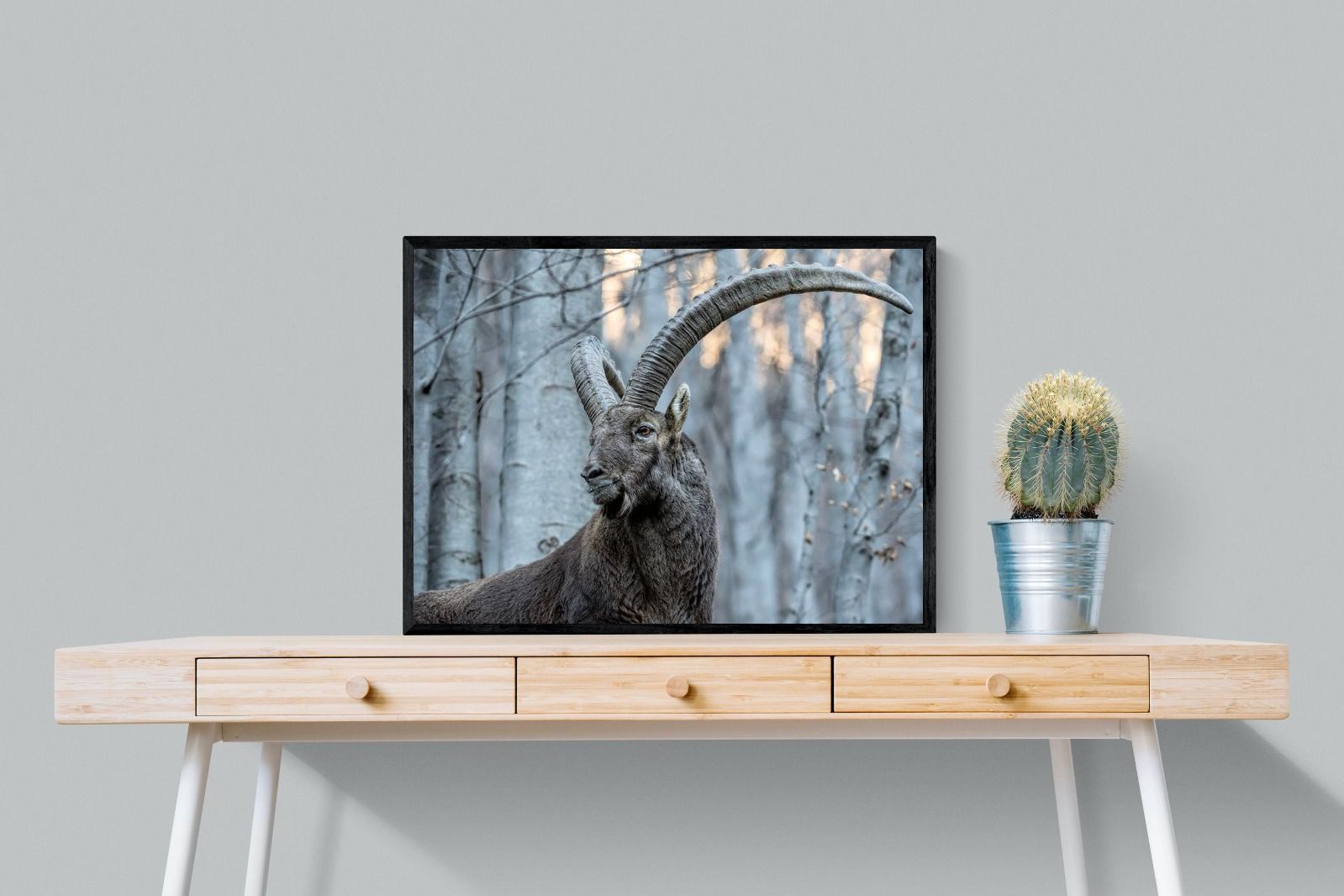 Pixalot Ibex