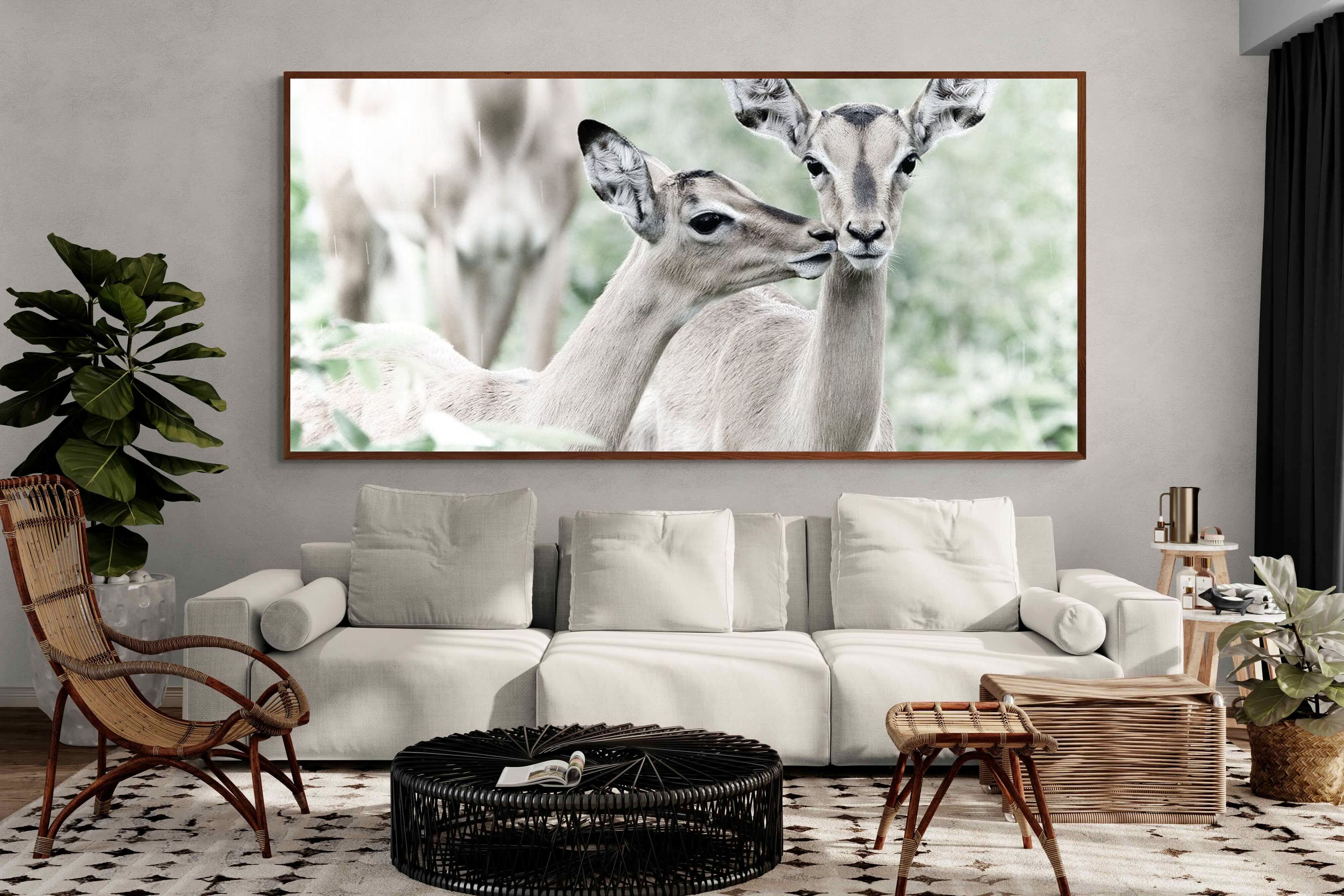 Pixalot Impala Kisses