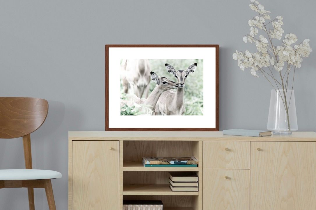 Pixalot Impala Kisses