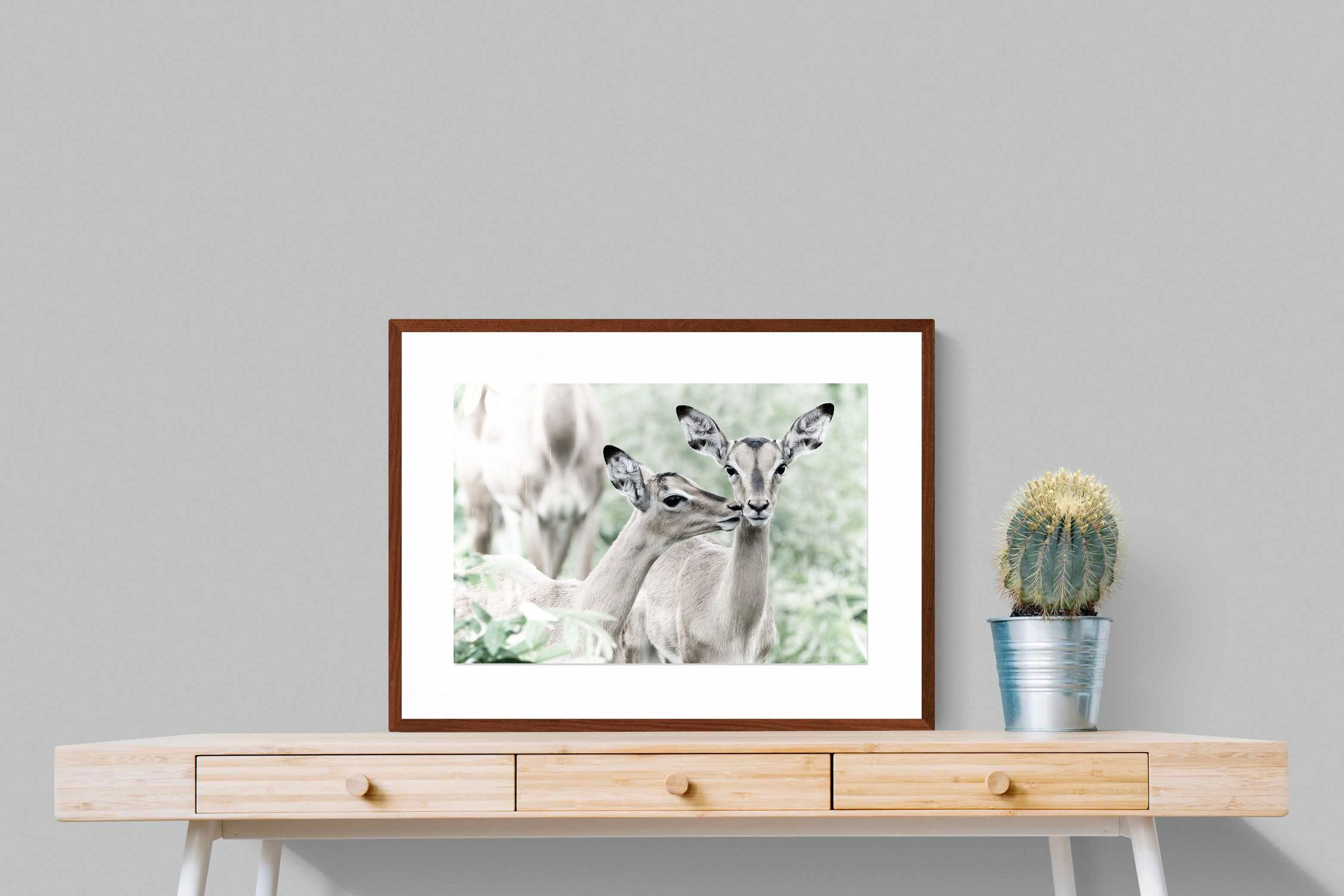 Pixalot Impala Kisses