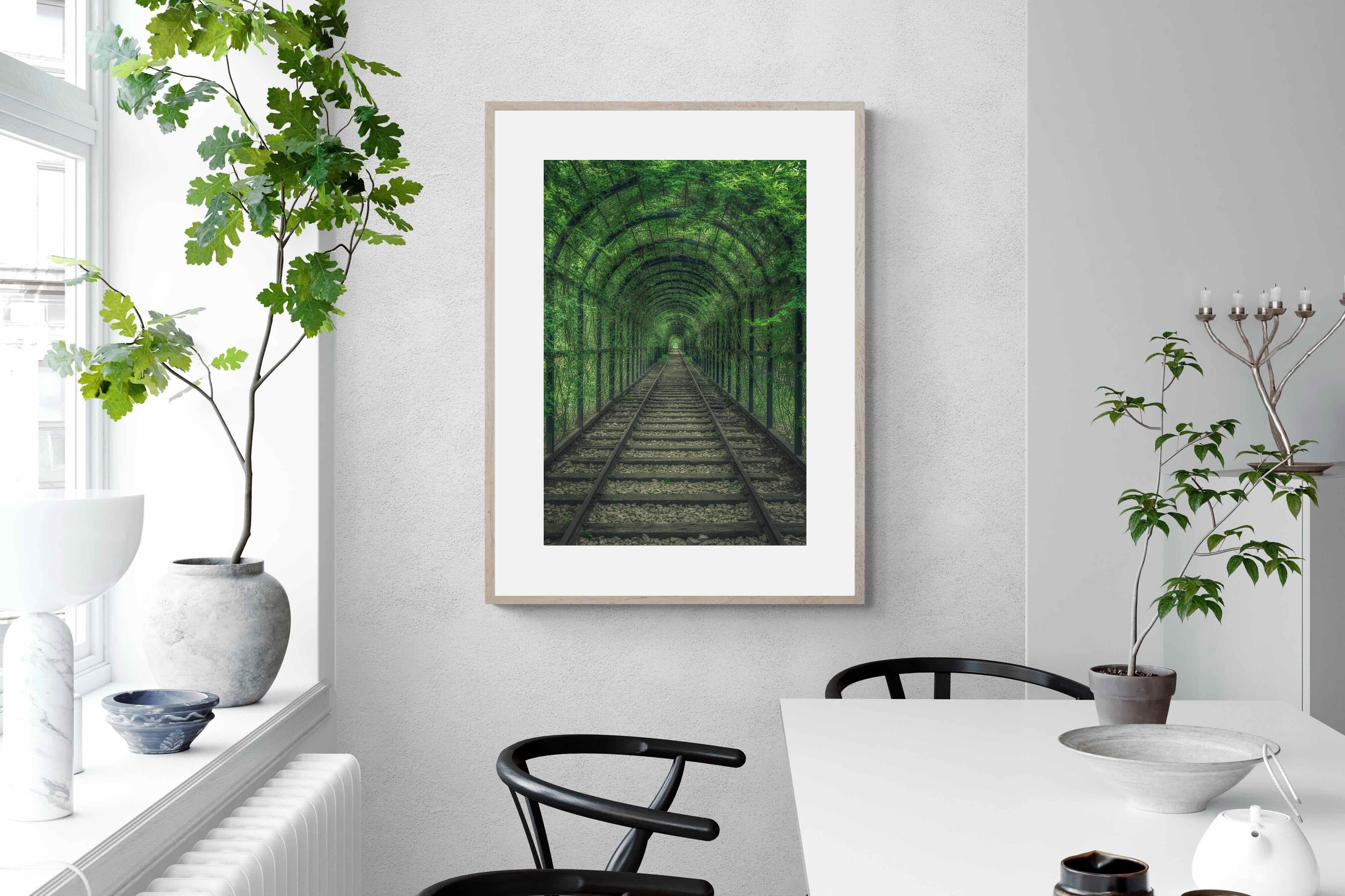 Pixalot Ivy Tunnel