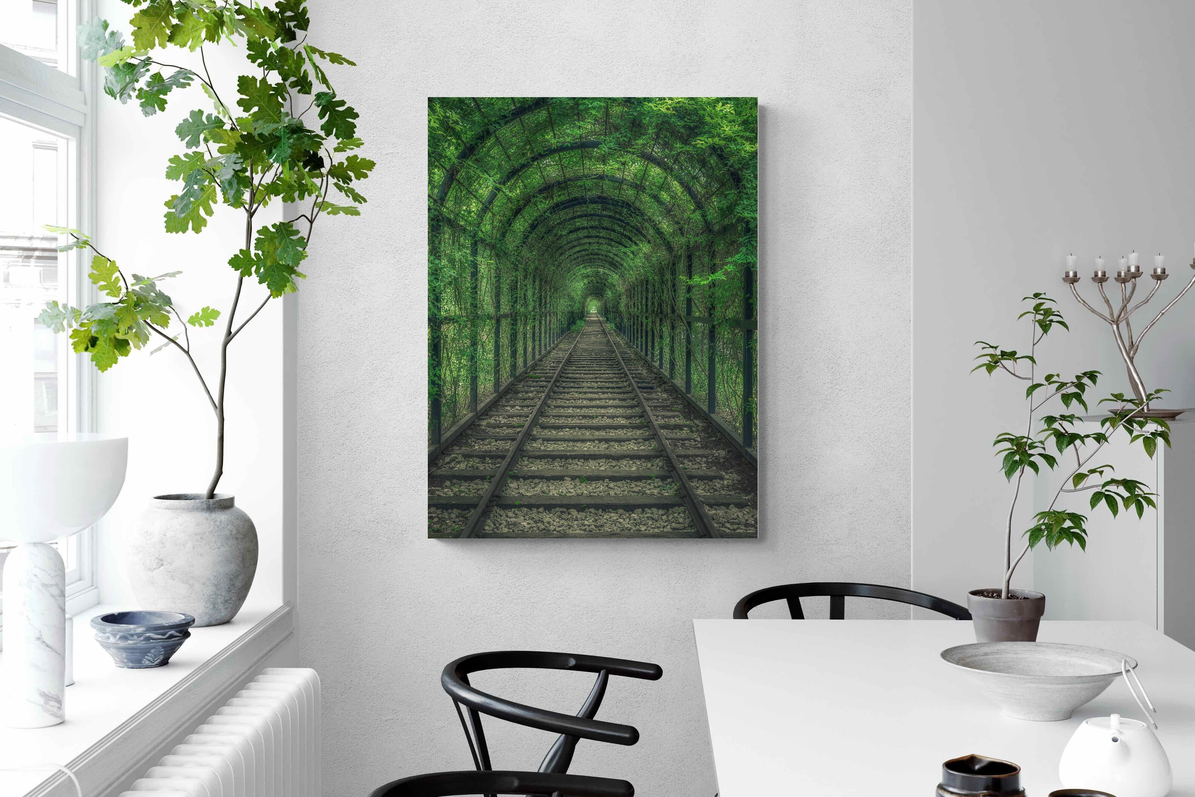Pixalot Ivy Tunnel