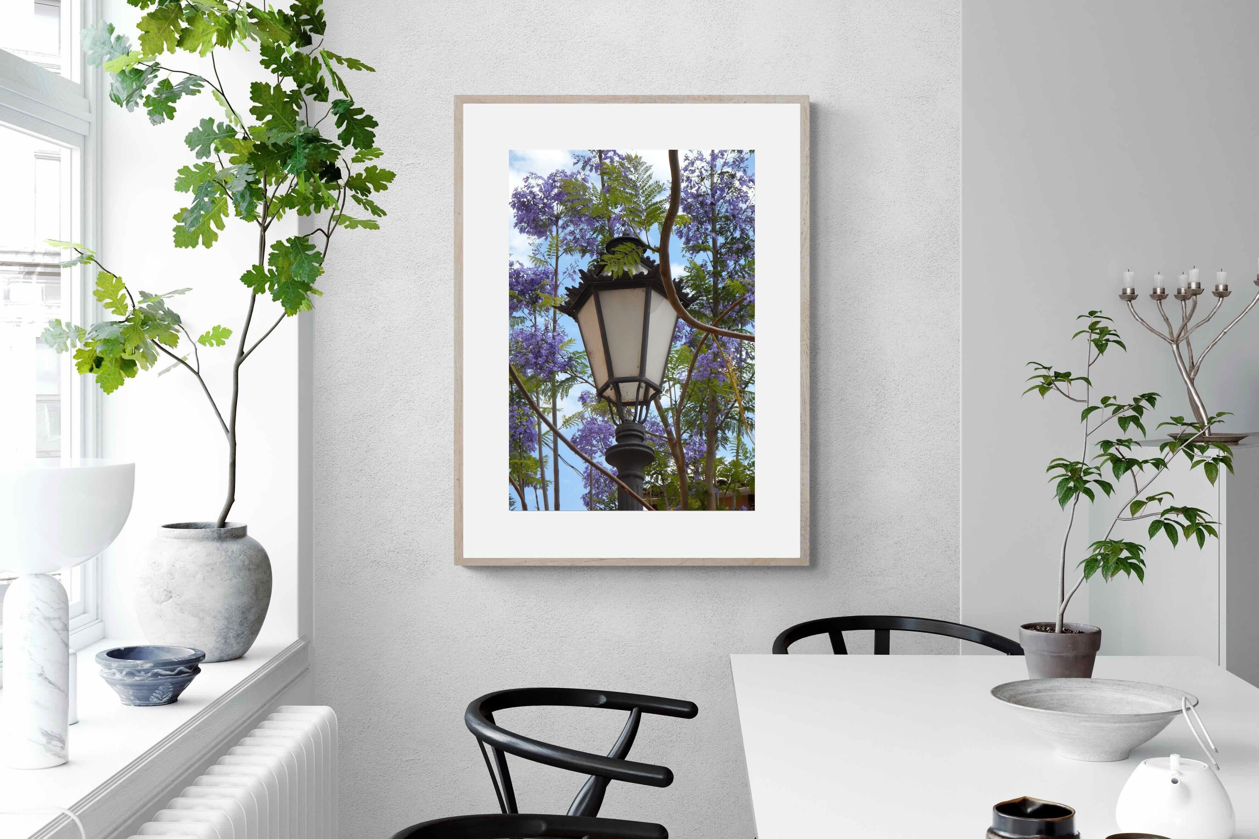 Pixalot Jacaranda Street Lamp