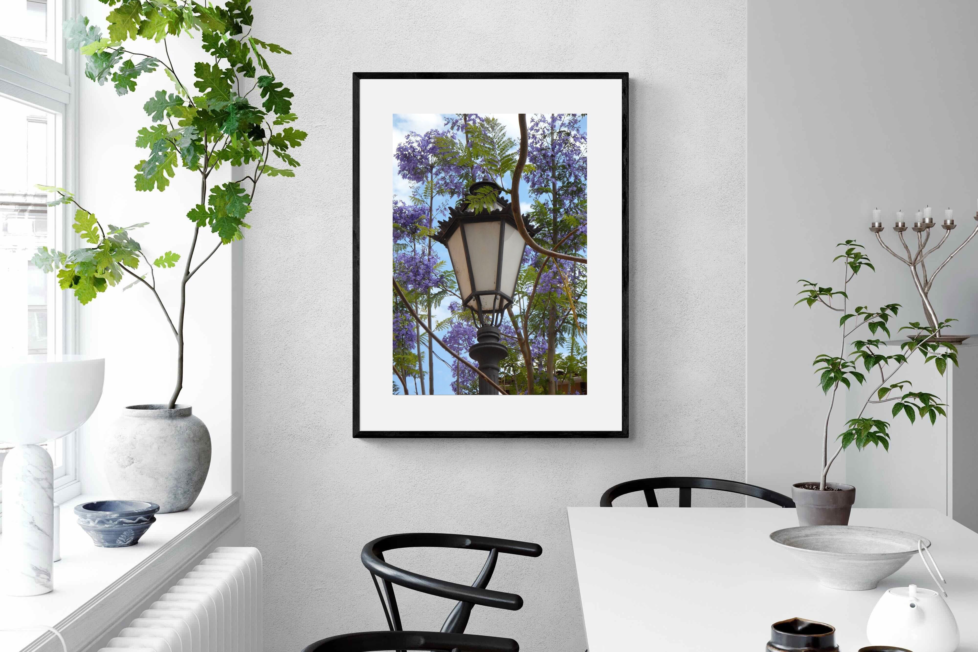 Pixalot Jacaranda Street Lamp
