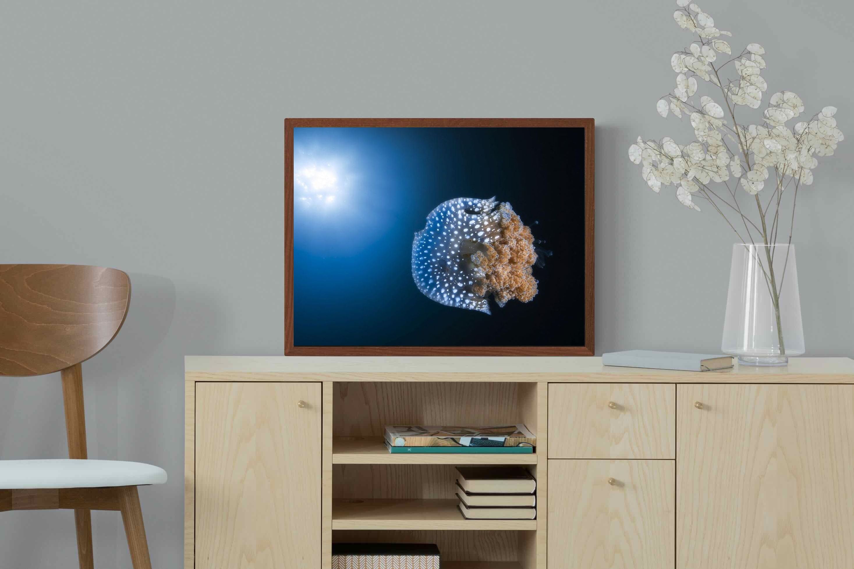 Pixalot ® Jellyfish