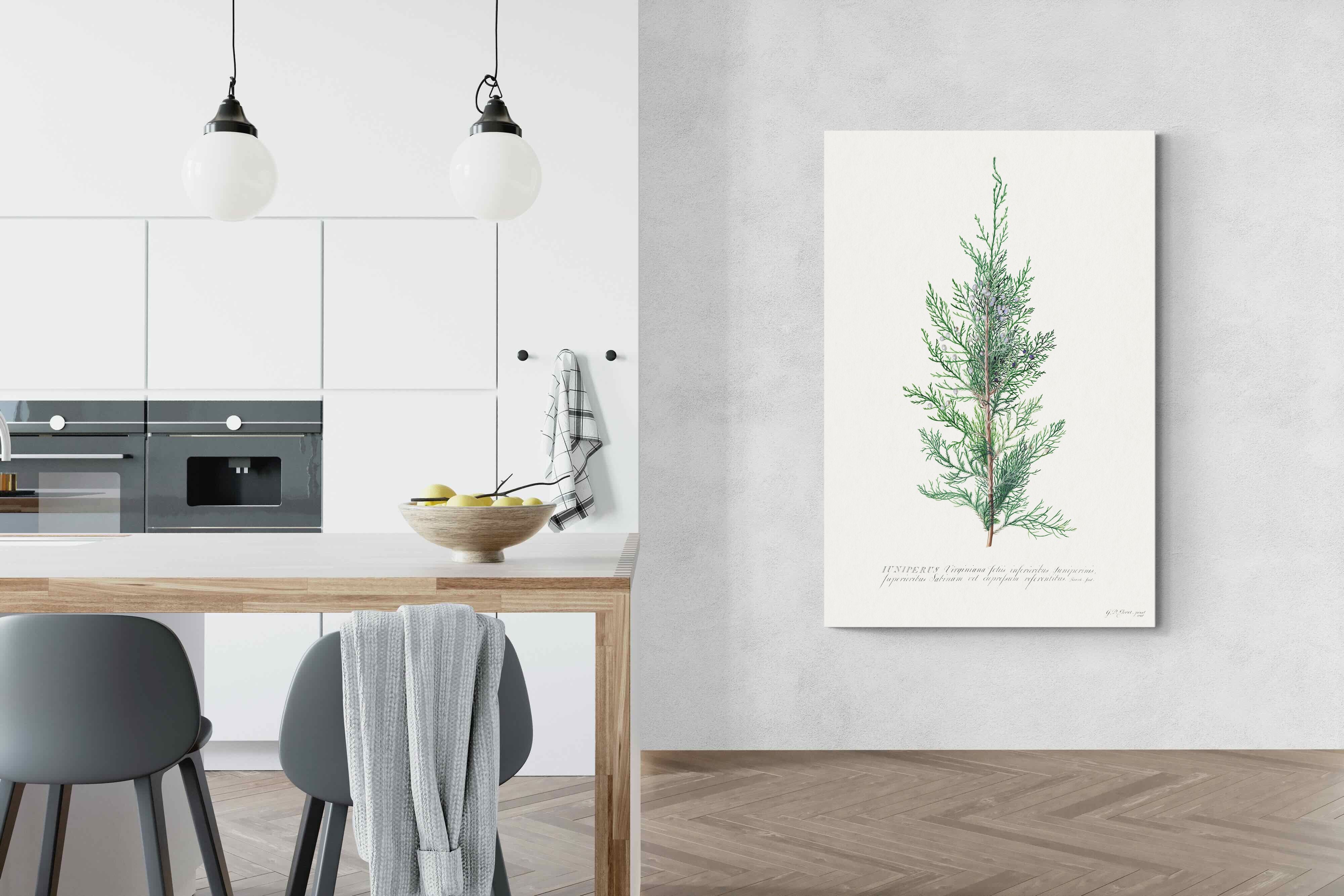 Pixalot Juniper Silhouette