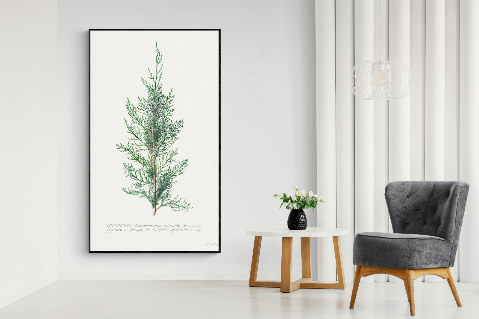 Pixalot Juniper Silhouette