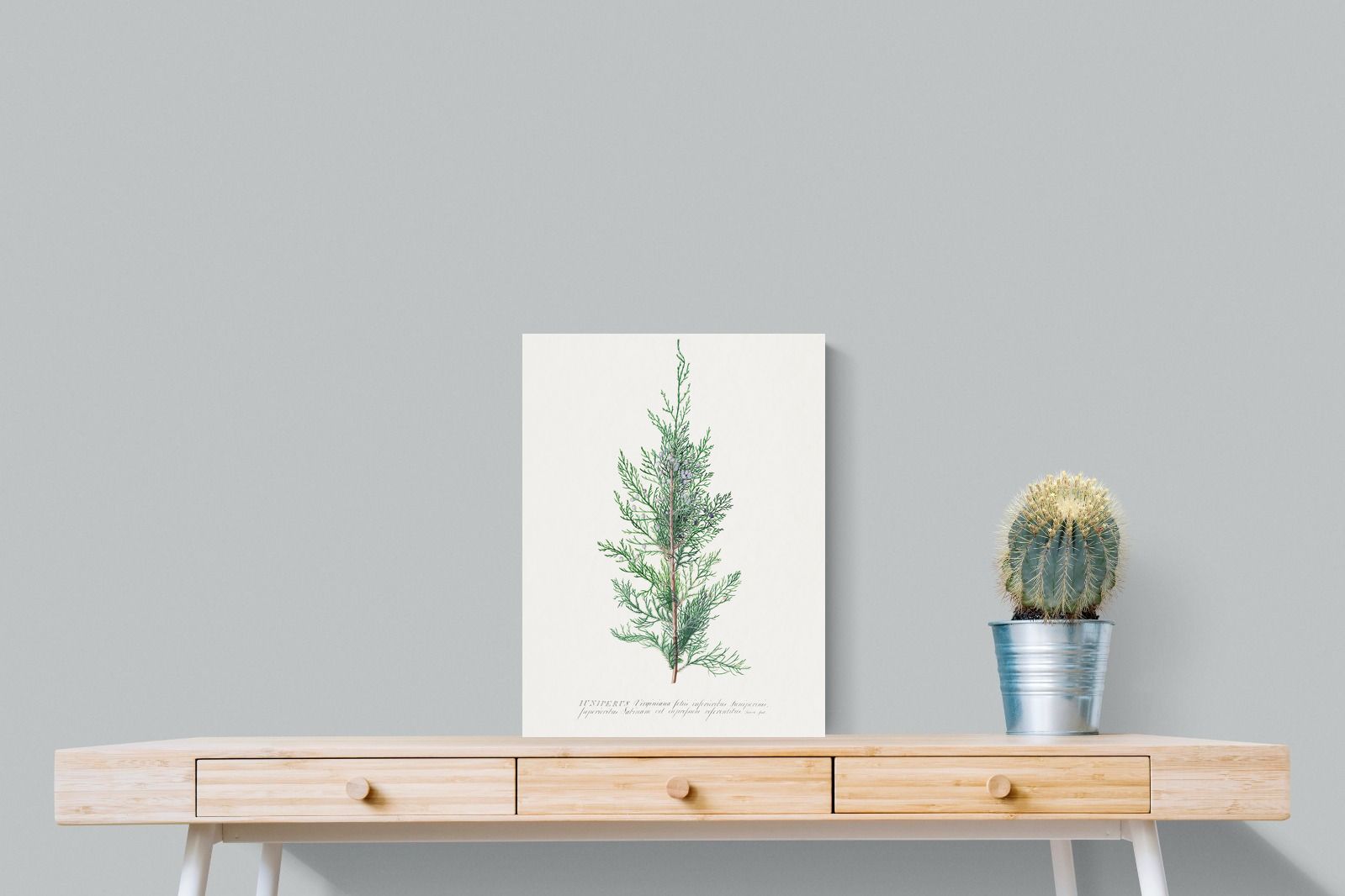 Pixalot Juniper Silhouette