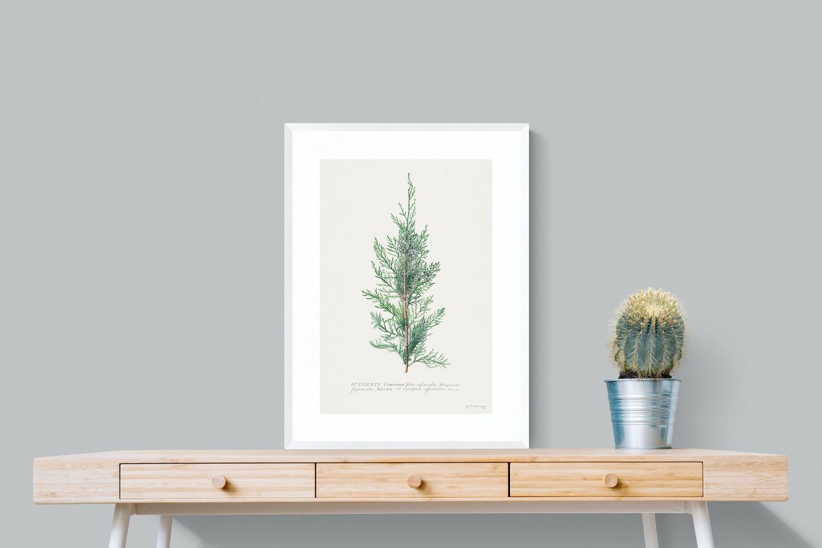 Pixalot Juniper Silhouette