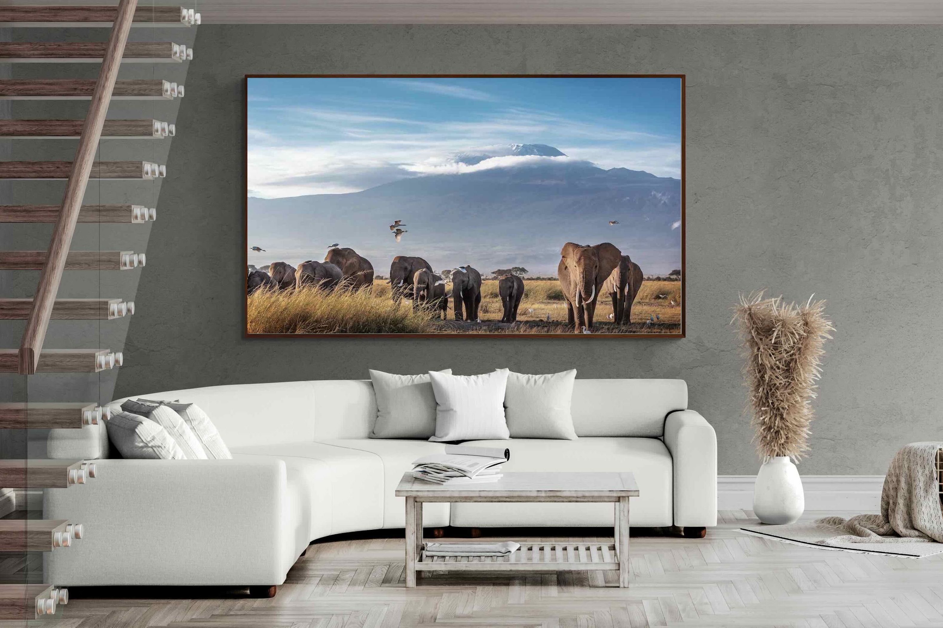 Pixalot ® Kilimanjaro Elephants