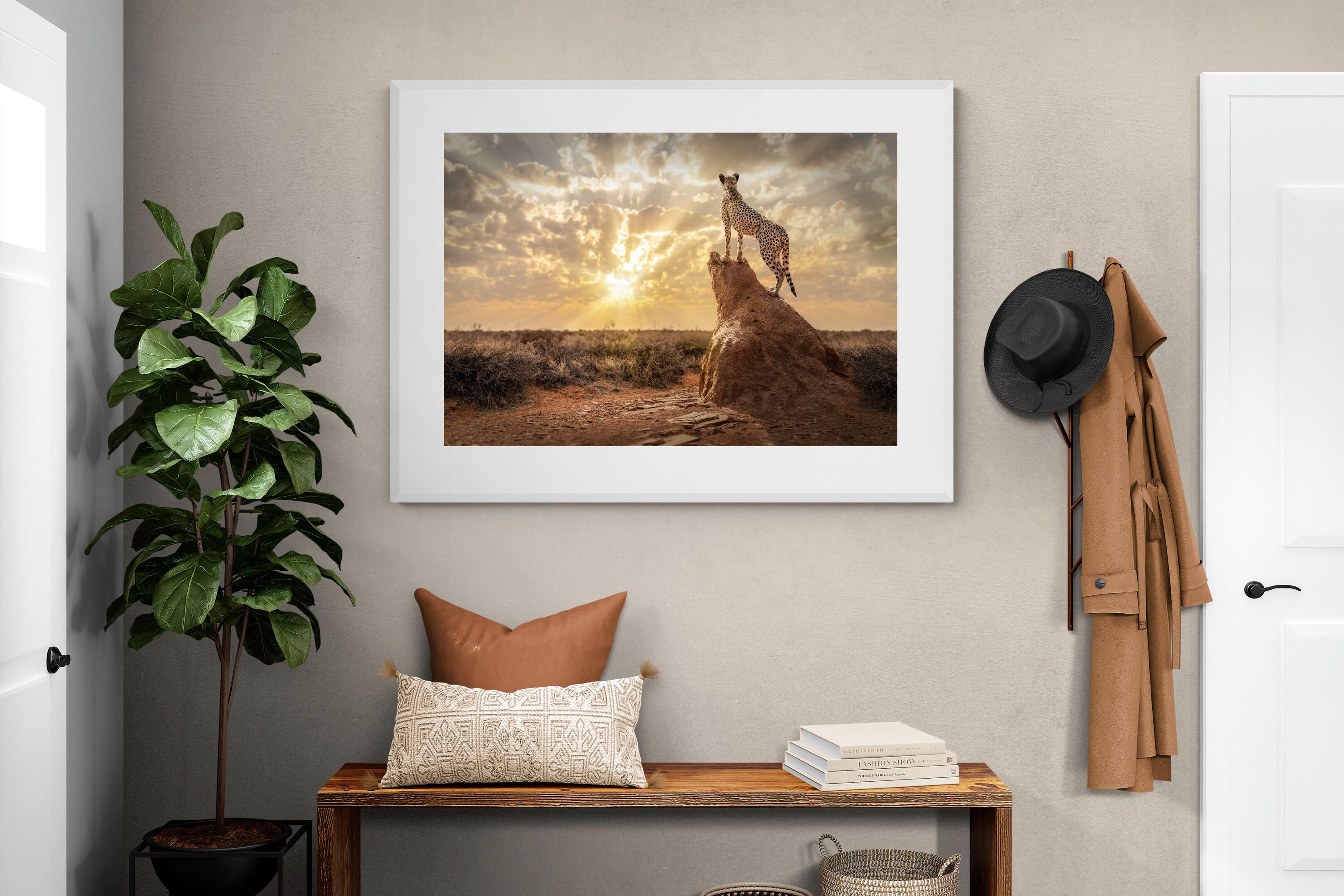 Pixalot King of the Savannah (Colour)