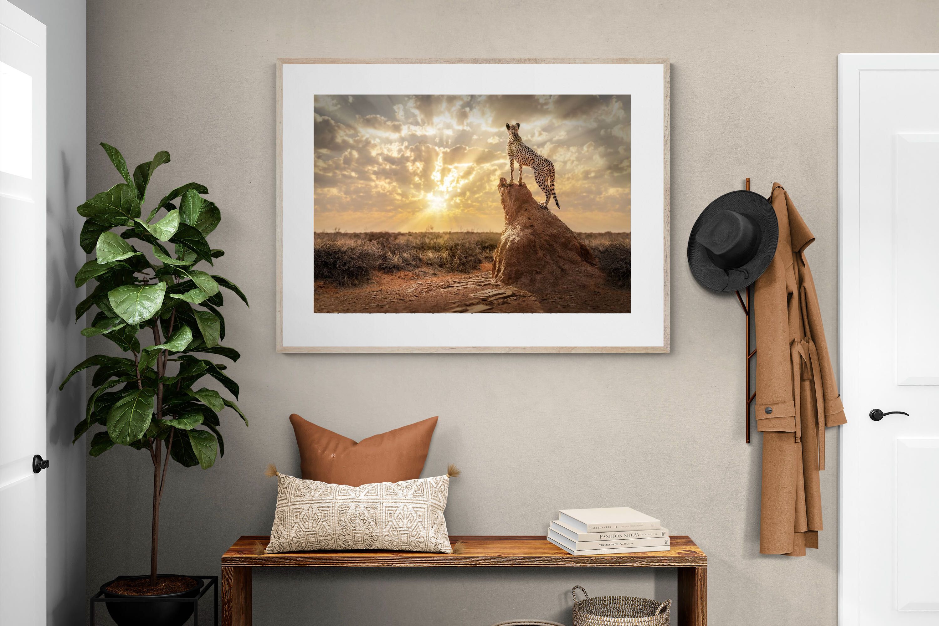 Pixalot King of the Savannah (Colour)