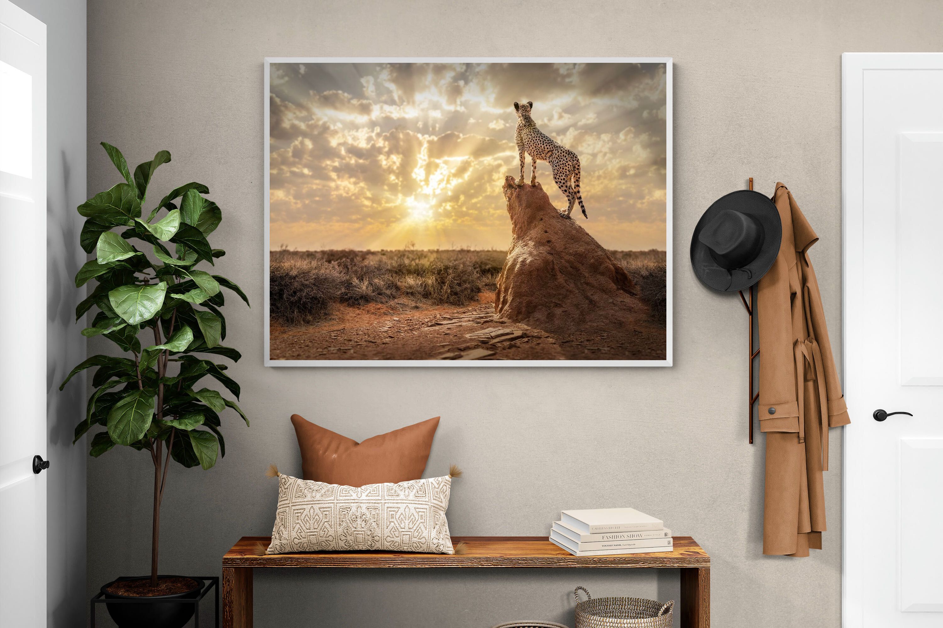 Pixalot King of the Savannah (Colour)