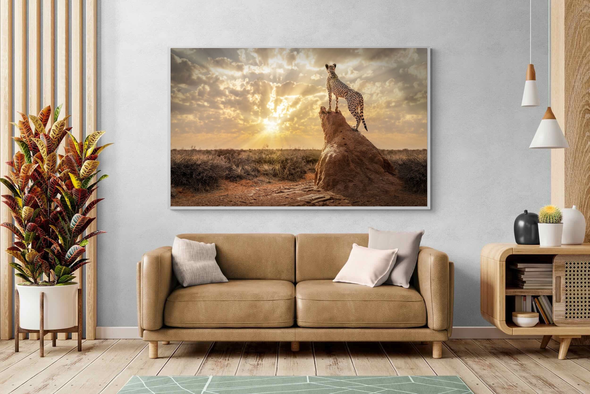 Pixalot King of the Savannah (Colour)