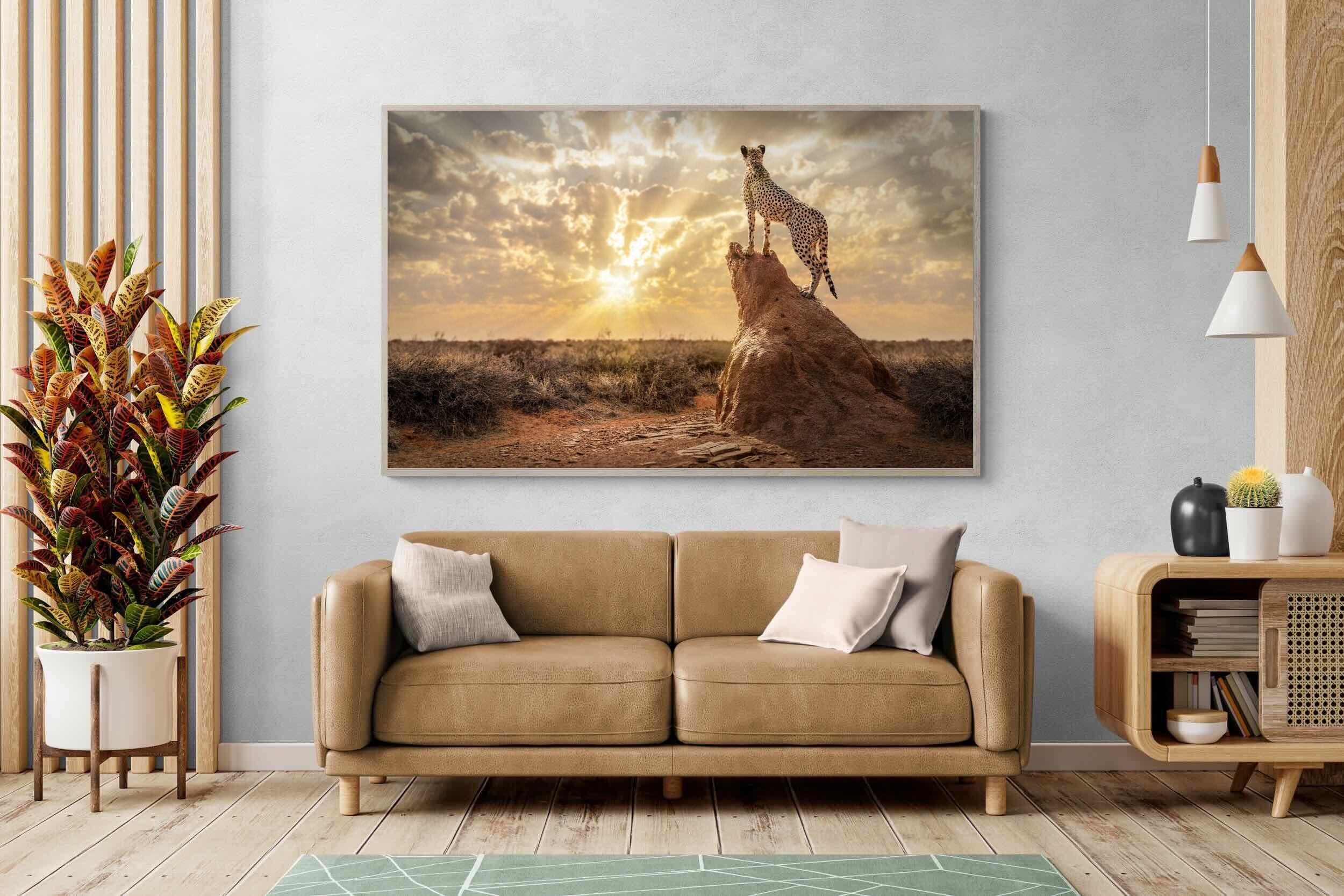 Pixalot King of the Savannah (Colour)