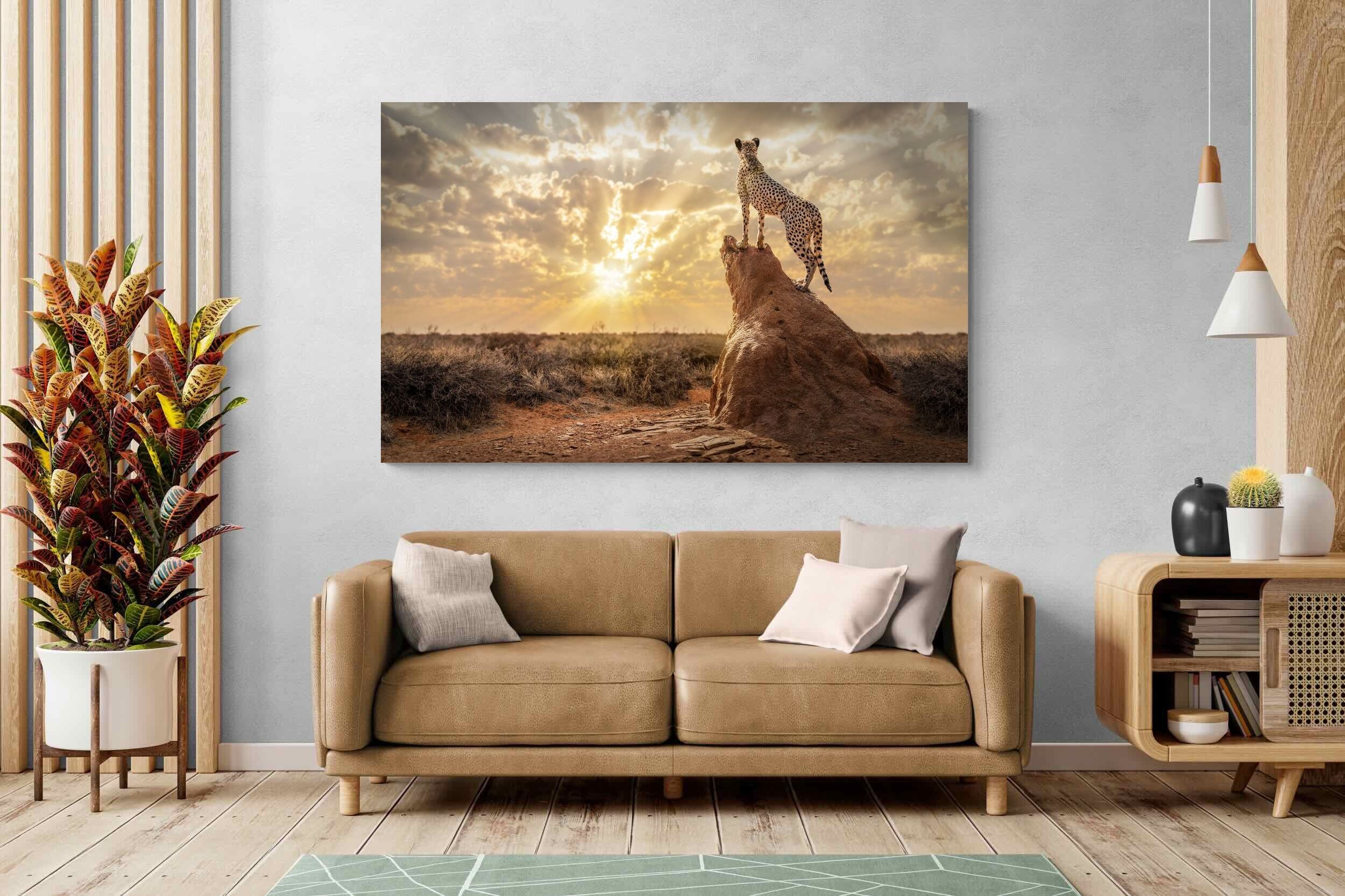 Pixalot King of the Savannah (Colour)