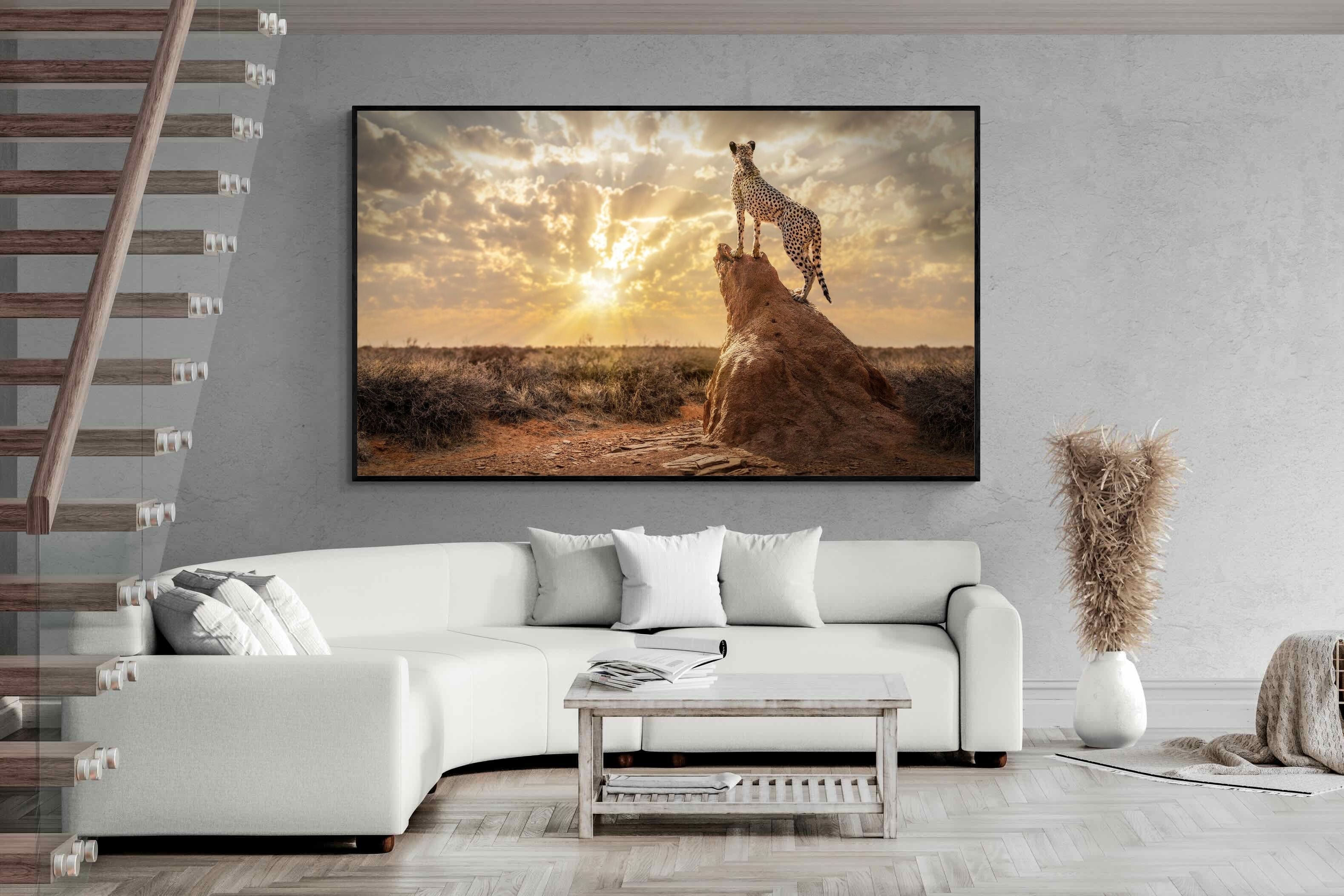 Pixalot King of the Savannah (Colour)