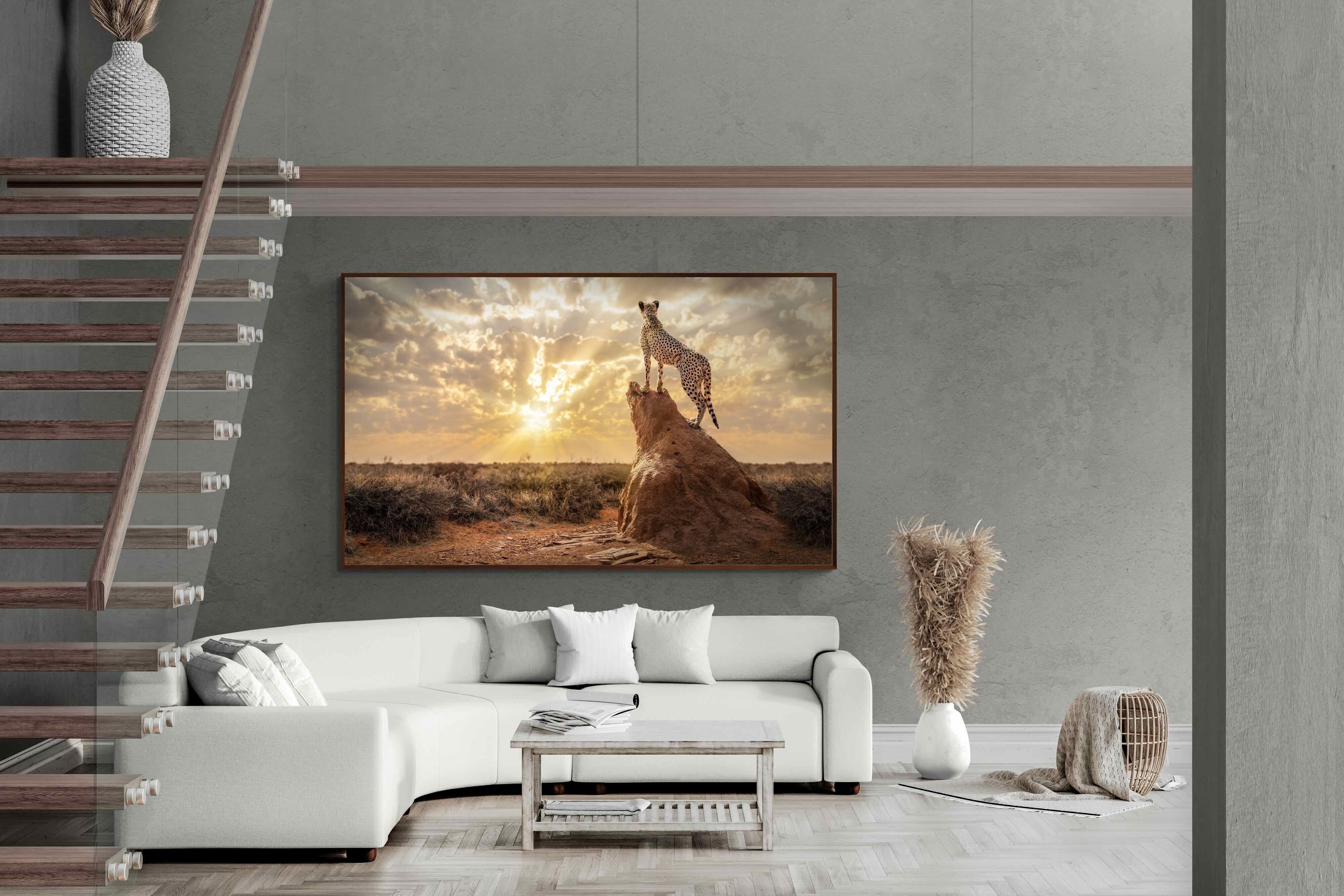 Pixalot King of the Savannah (Colour)