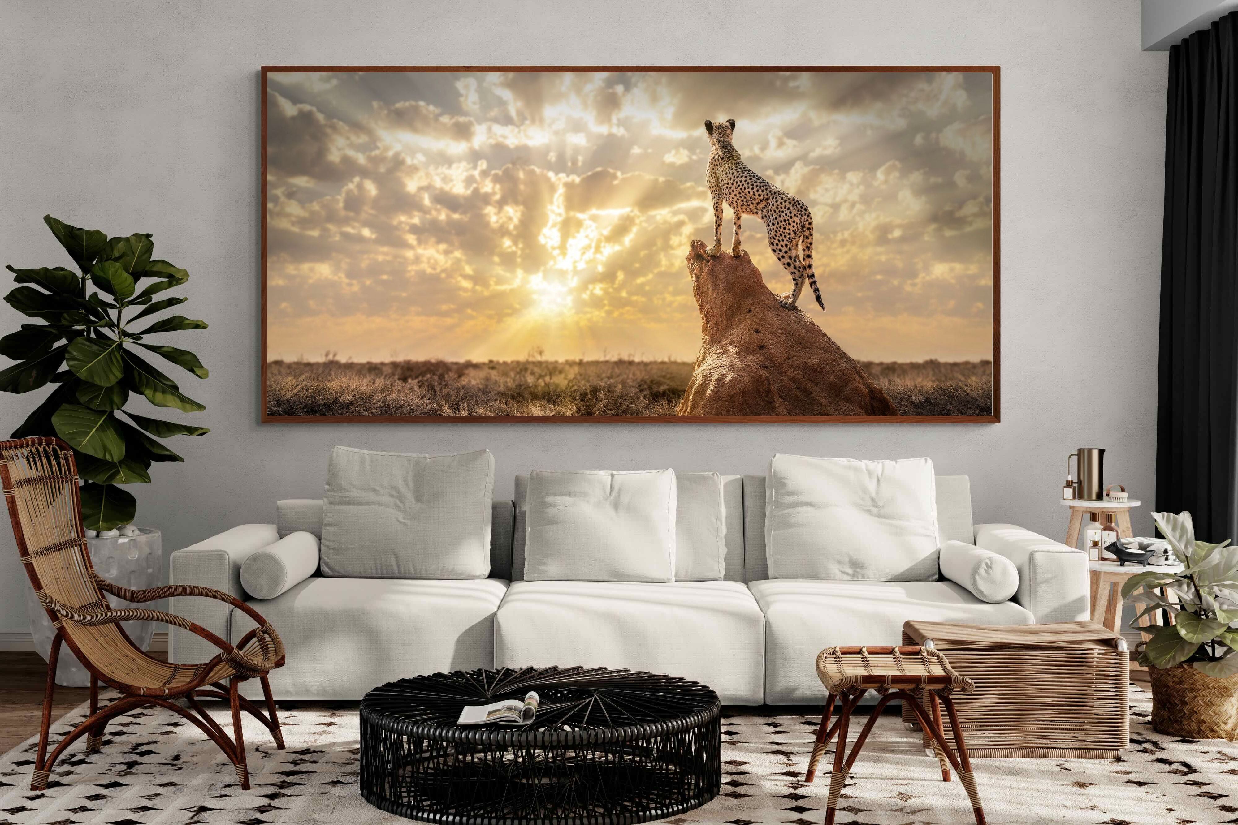 Pixalot King of the Savannah (Colour)