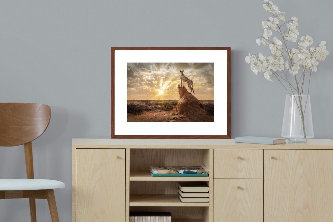 Pixalot King of the Savannah (Colour)