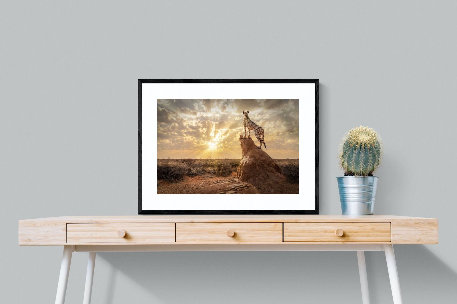 Pixalot King of the Savannah (Colour)