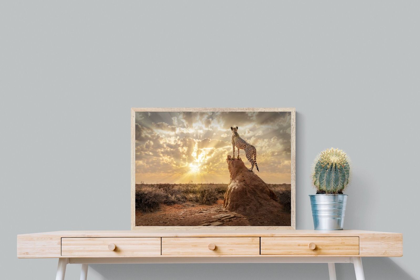 Pixalot King of the Savannah (Colour)