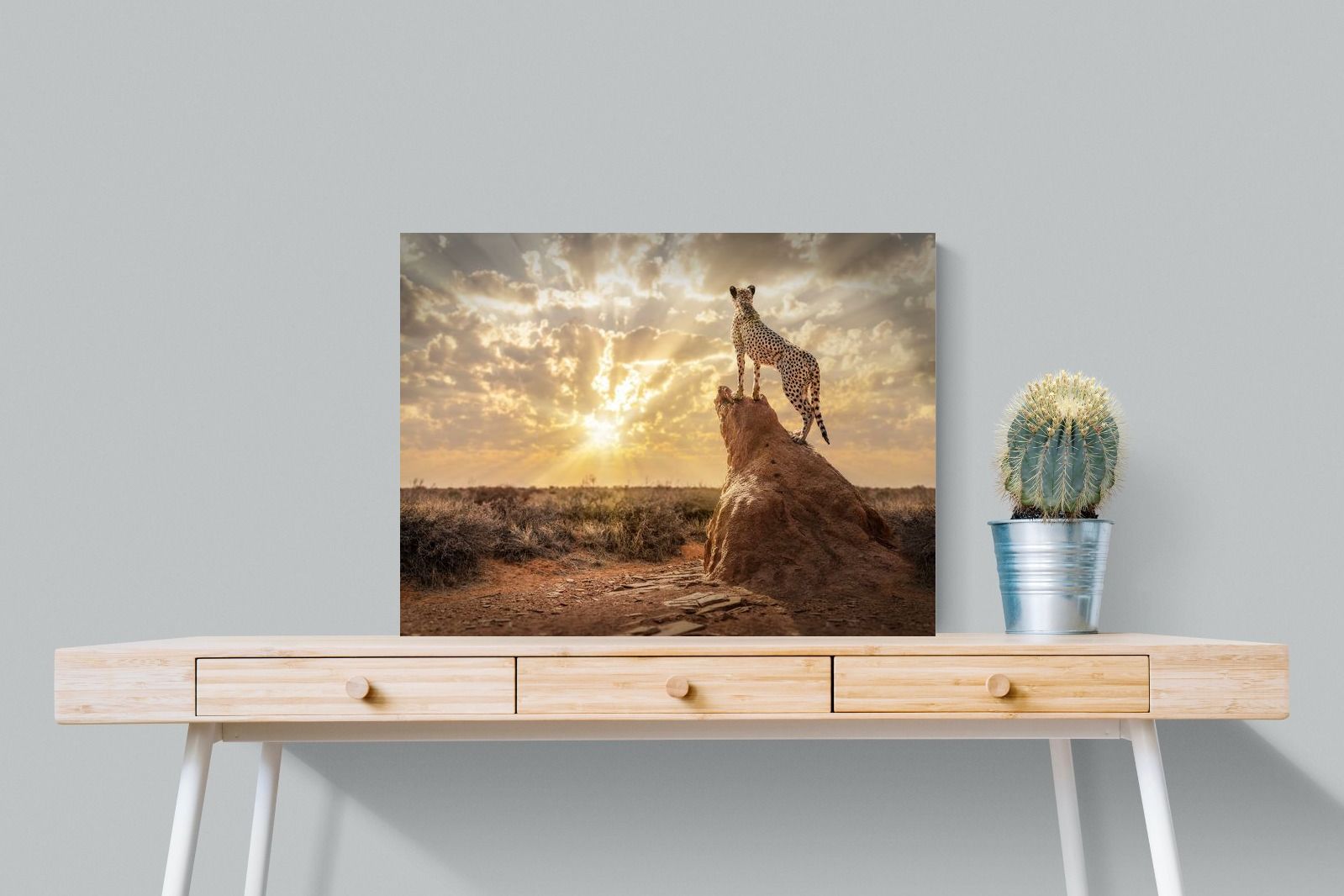 Pixalot King of the Savannah (Colour)