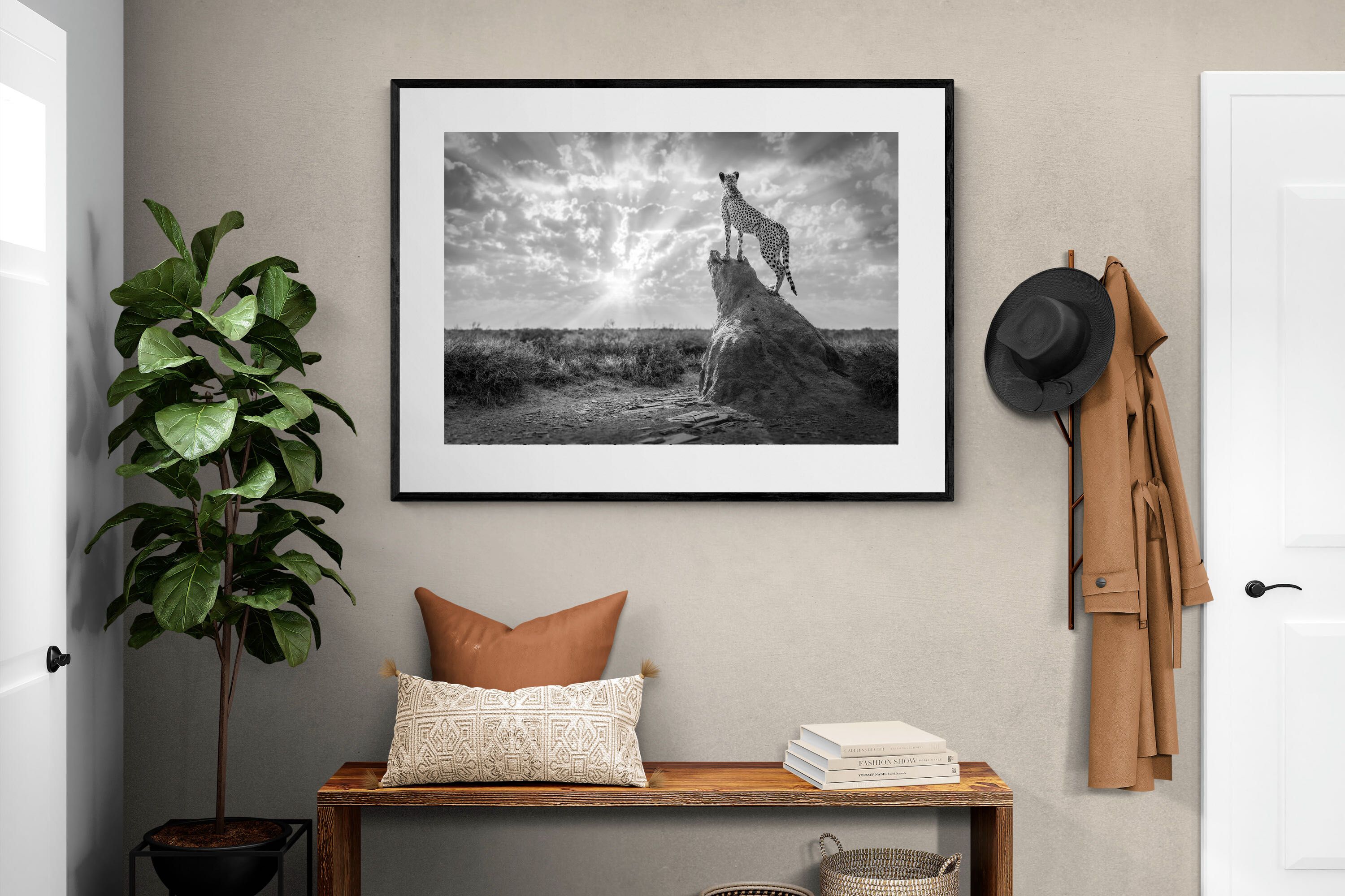 Pixalot King of the Savannah