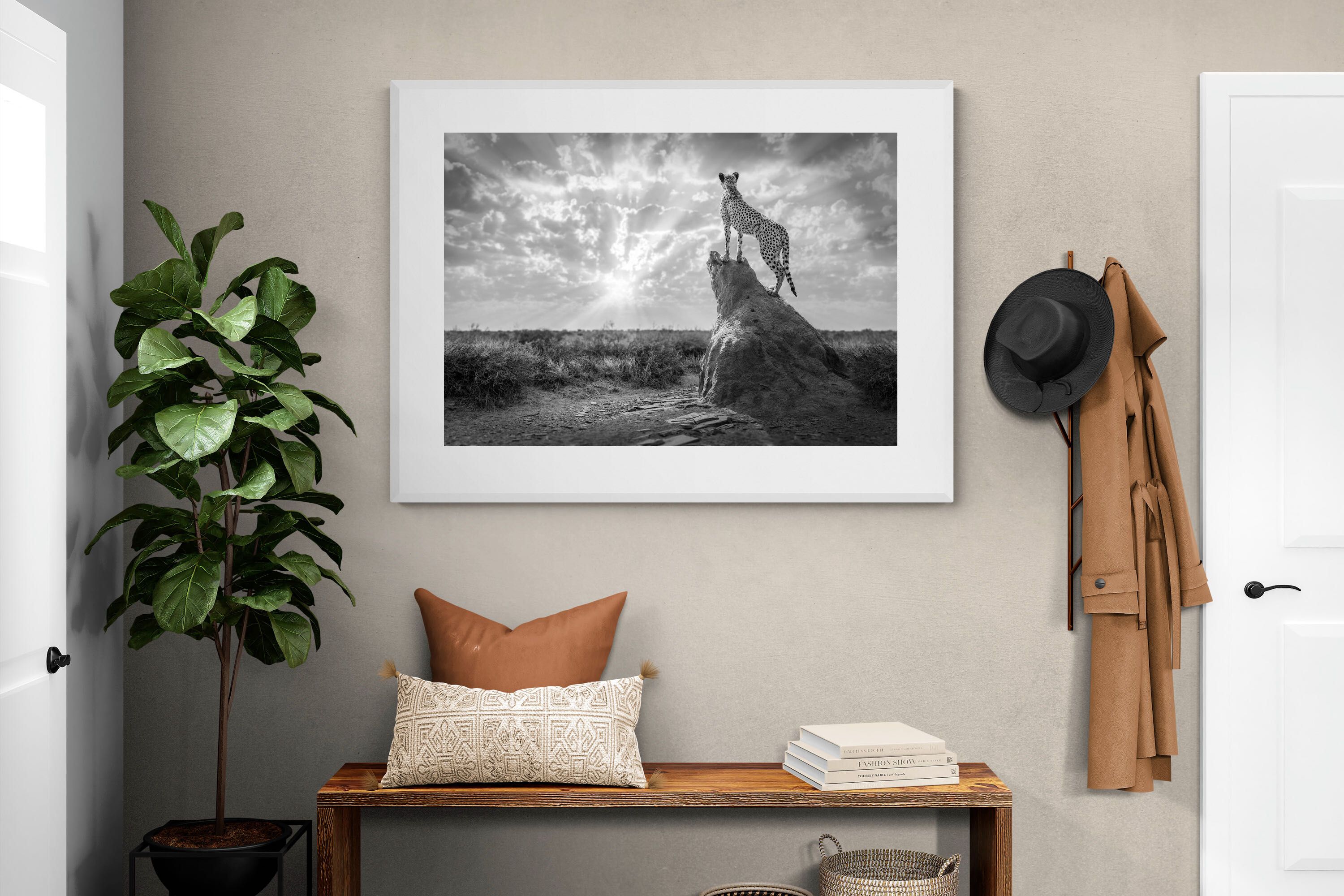 Pixalot King of the Savannah