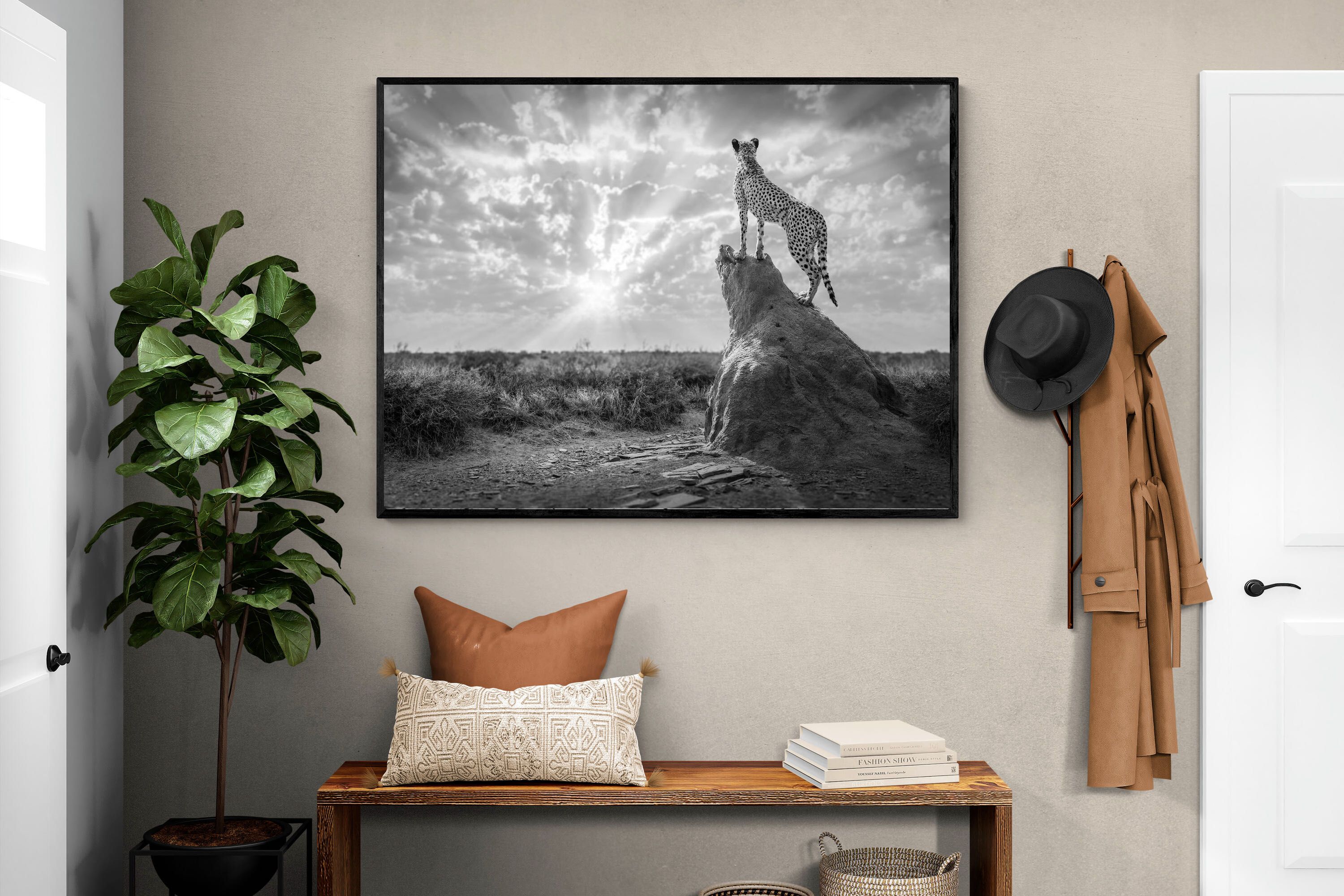 Pixalot King of the Savannah