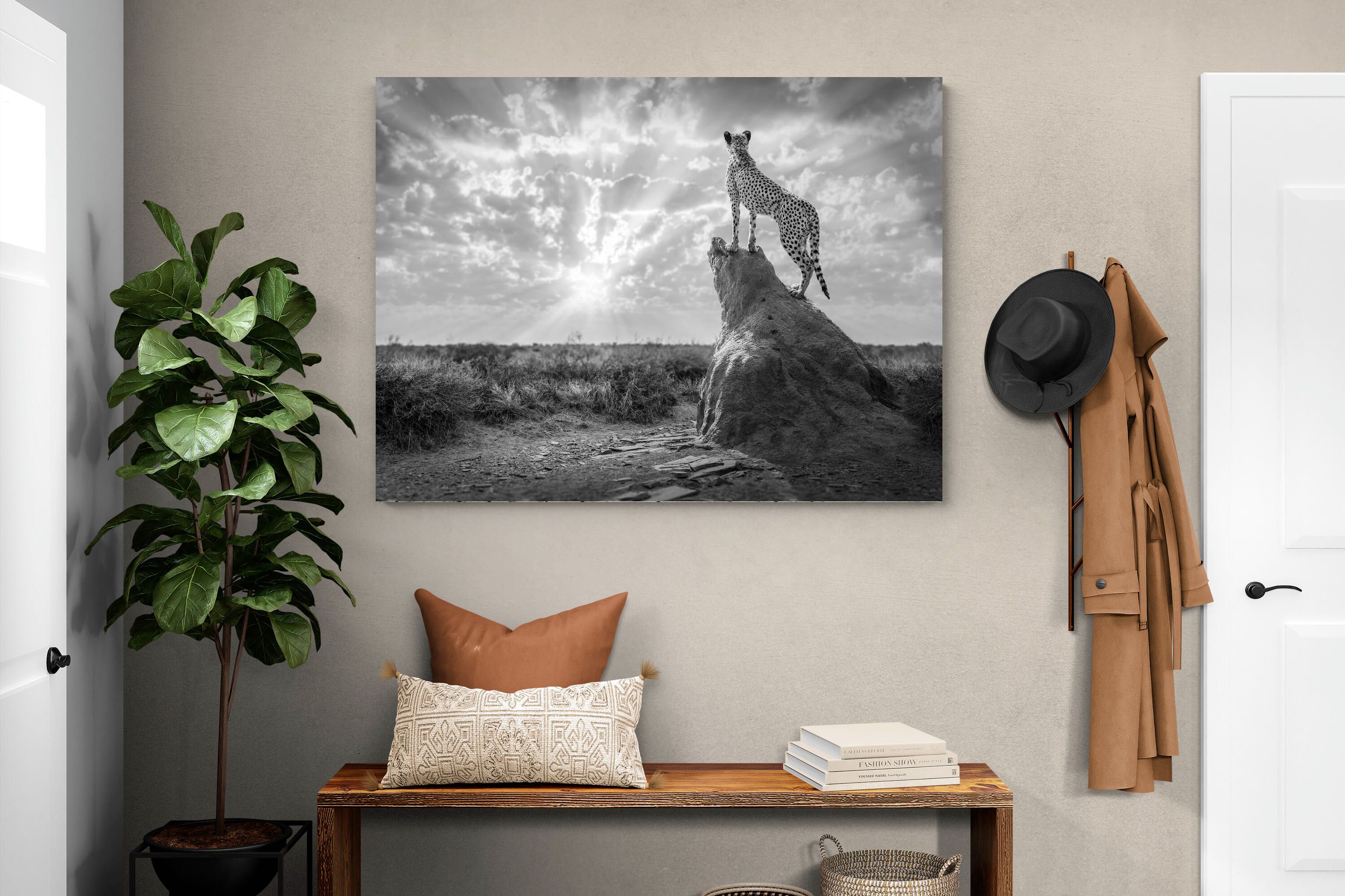 Pixalot King of the Savannah