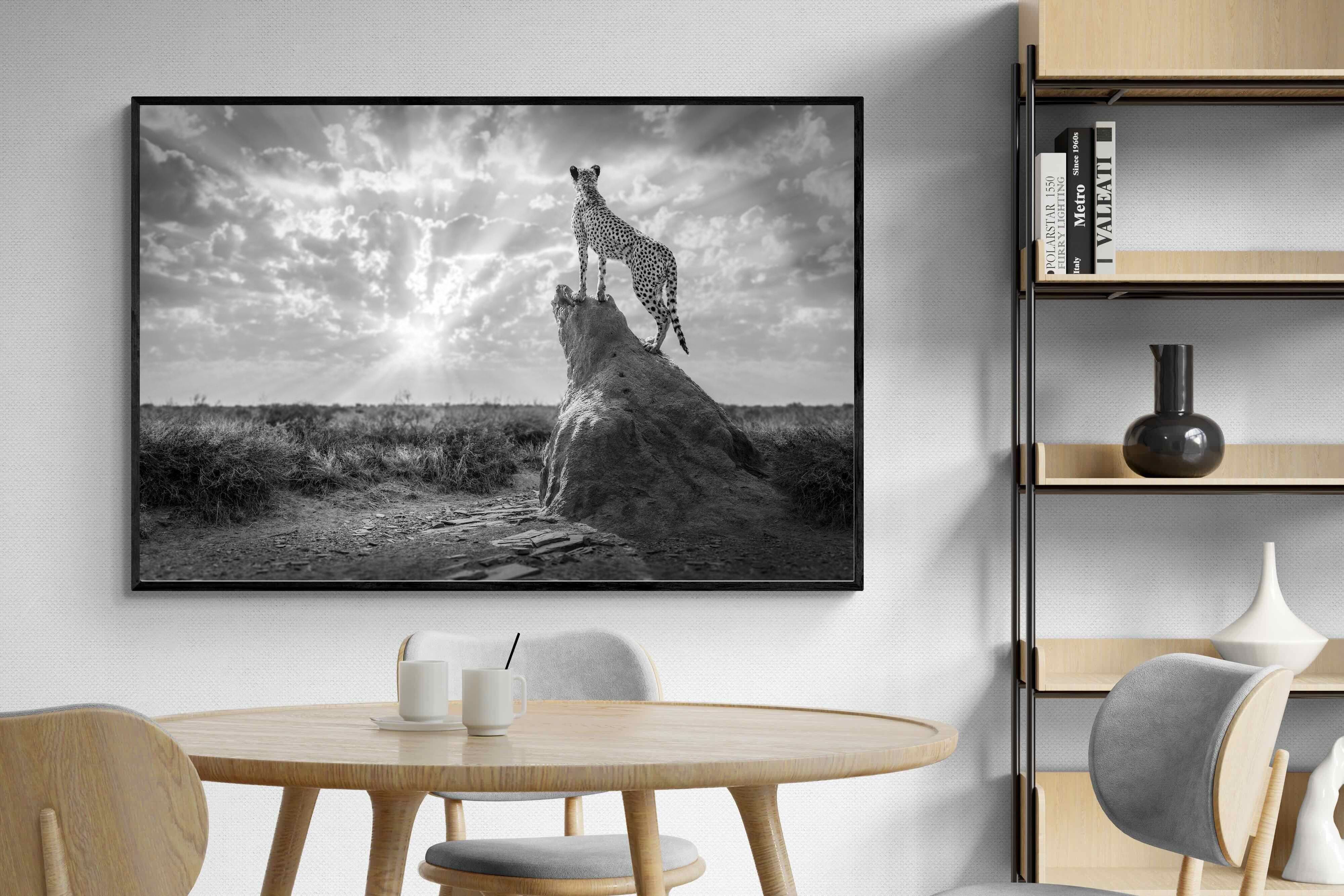 Pixalot King of the Savannah