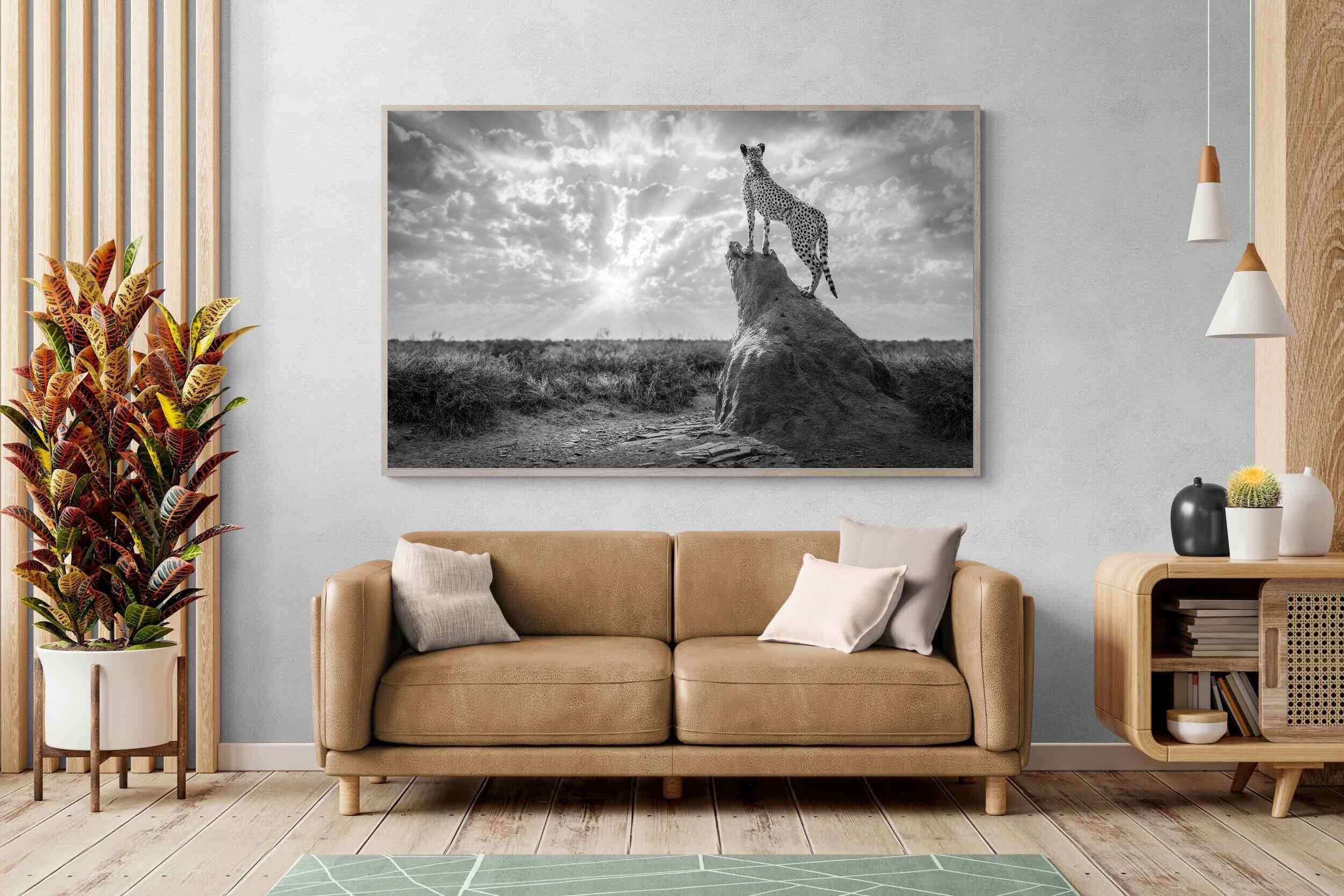 Pixalot King of the Savannah