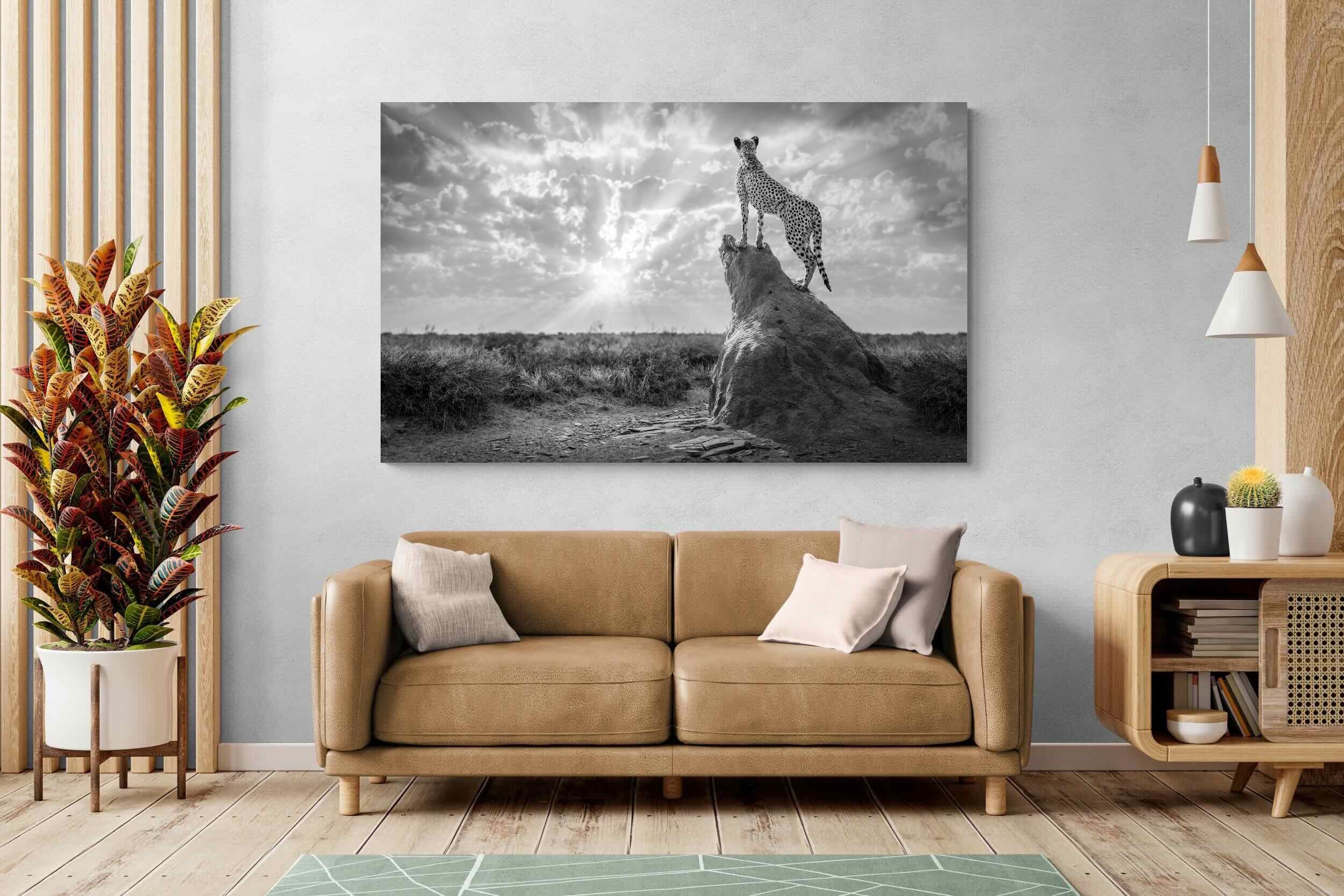 Pixalot King of the Savannah