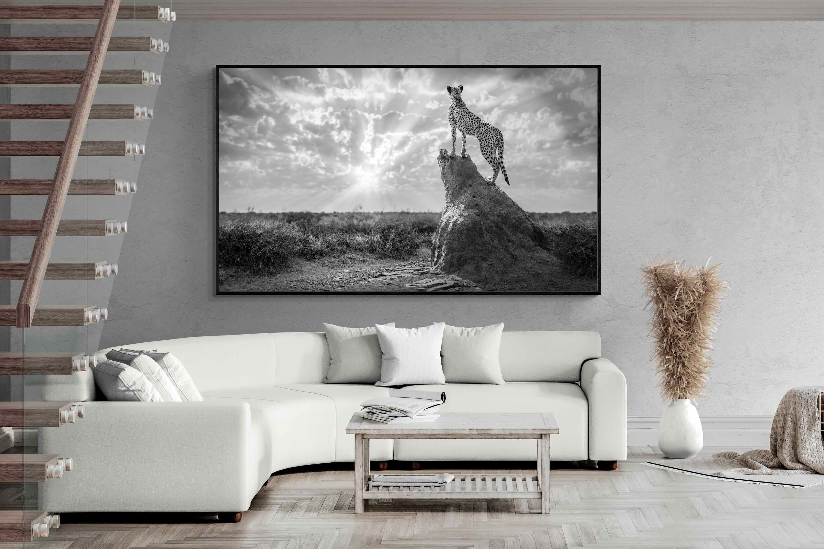 Pixalot King of the Savannah