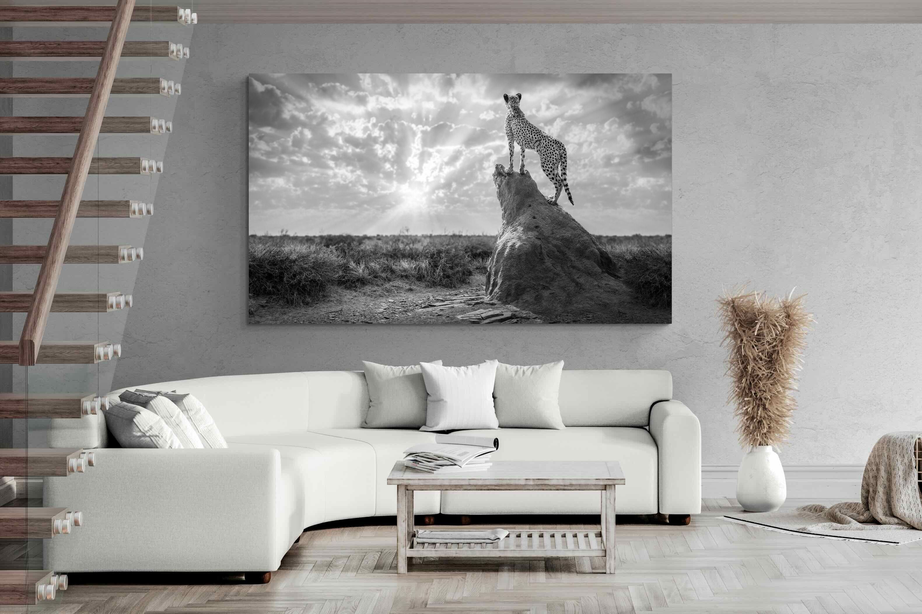 Pixalot King of the Savannah