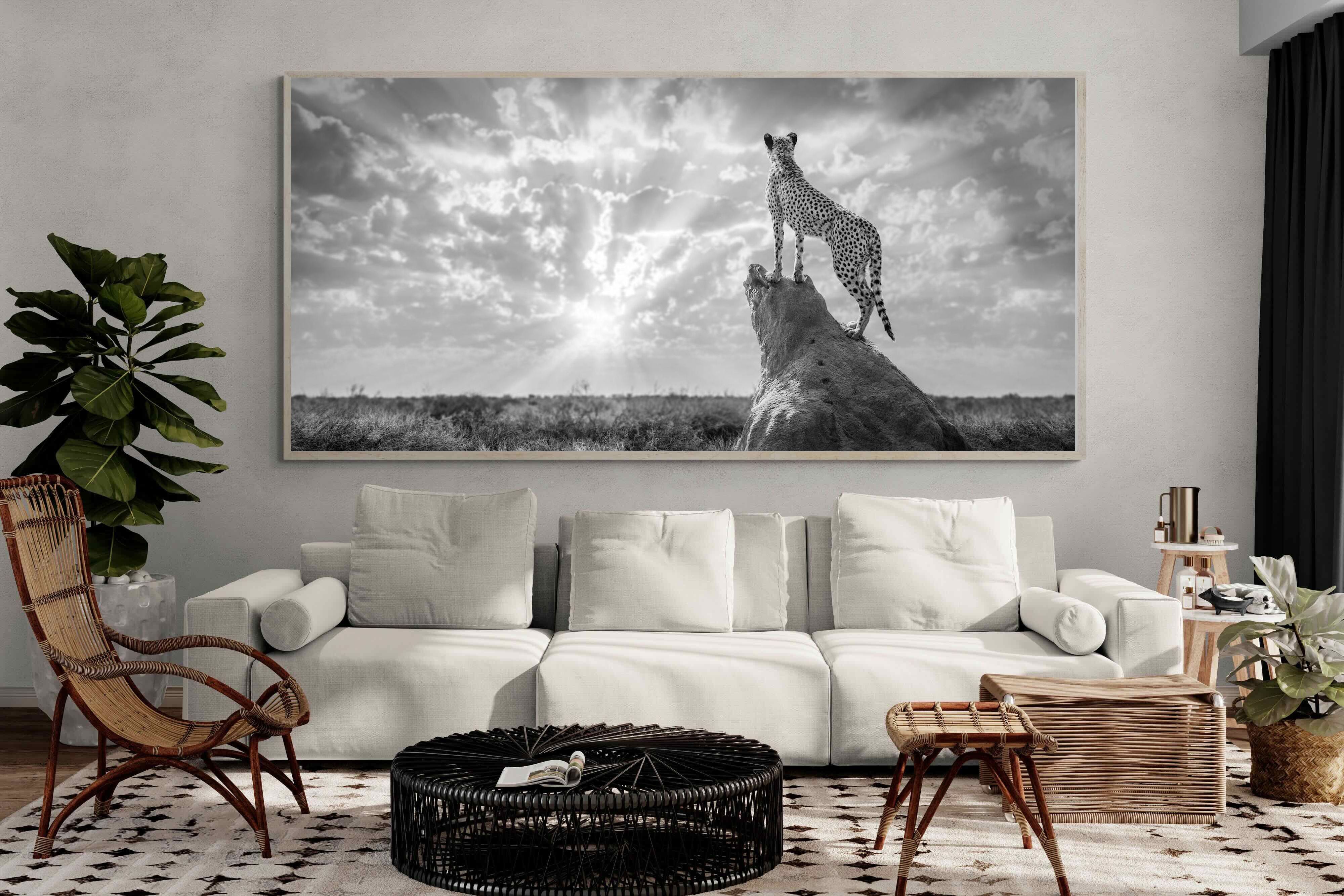 Pixalot King of the Savannah