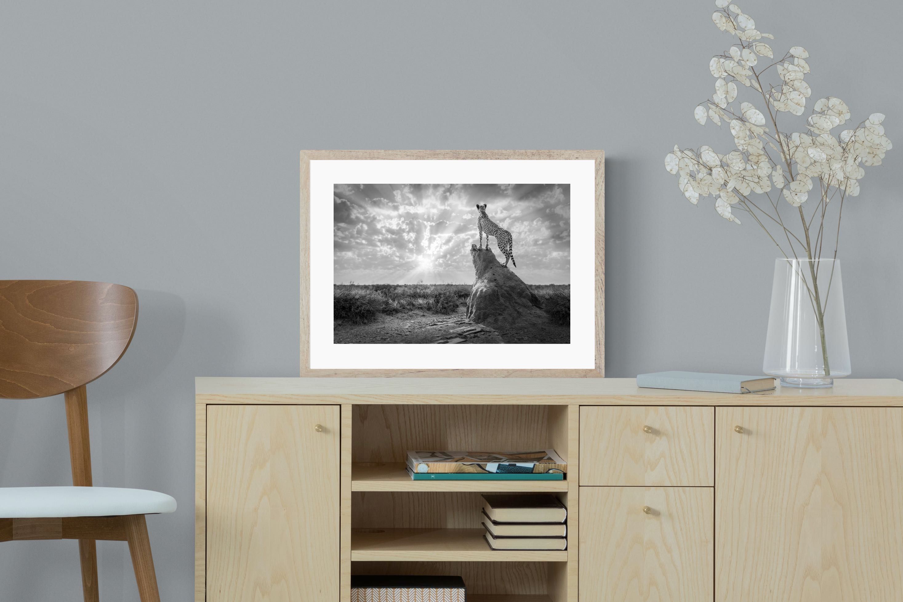 Pixalot King of the Savannah