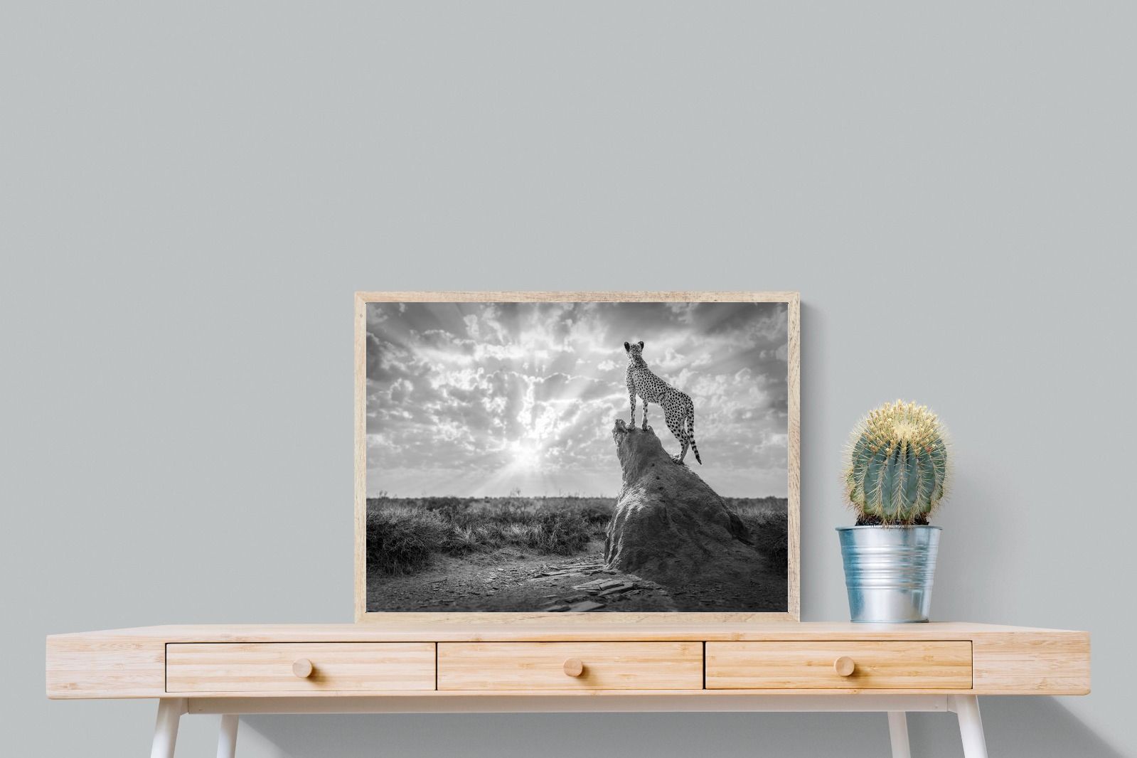 Pixalot King of the Savannah