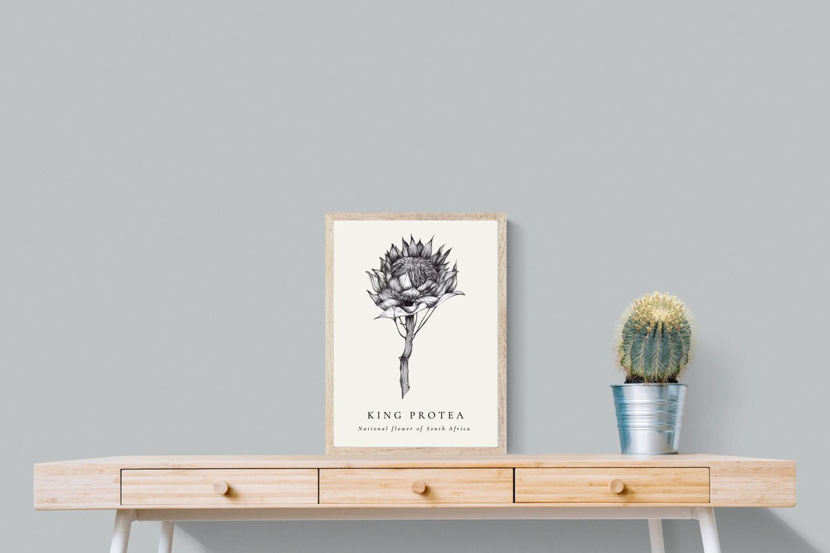 Pixalot ® King Protea Illustration