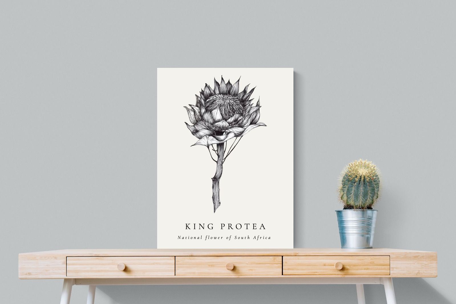 Pixalot ® King Protea Illustration