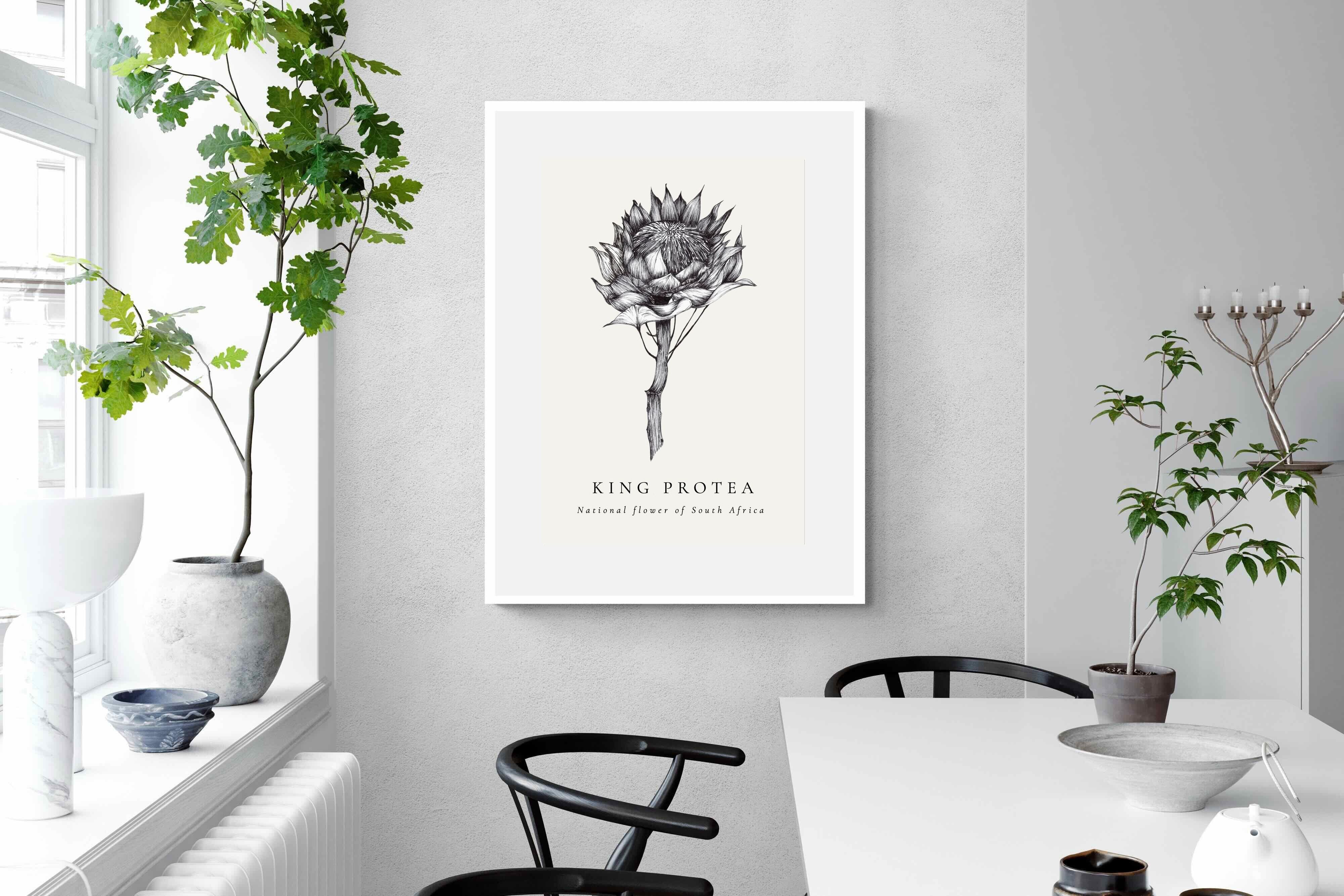 Pixalot ® King Protea Illustration