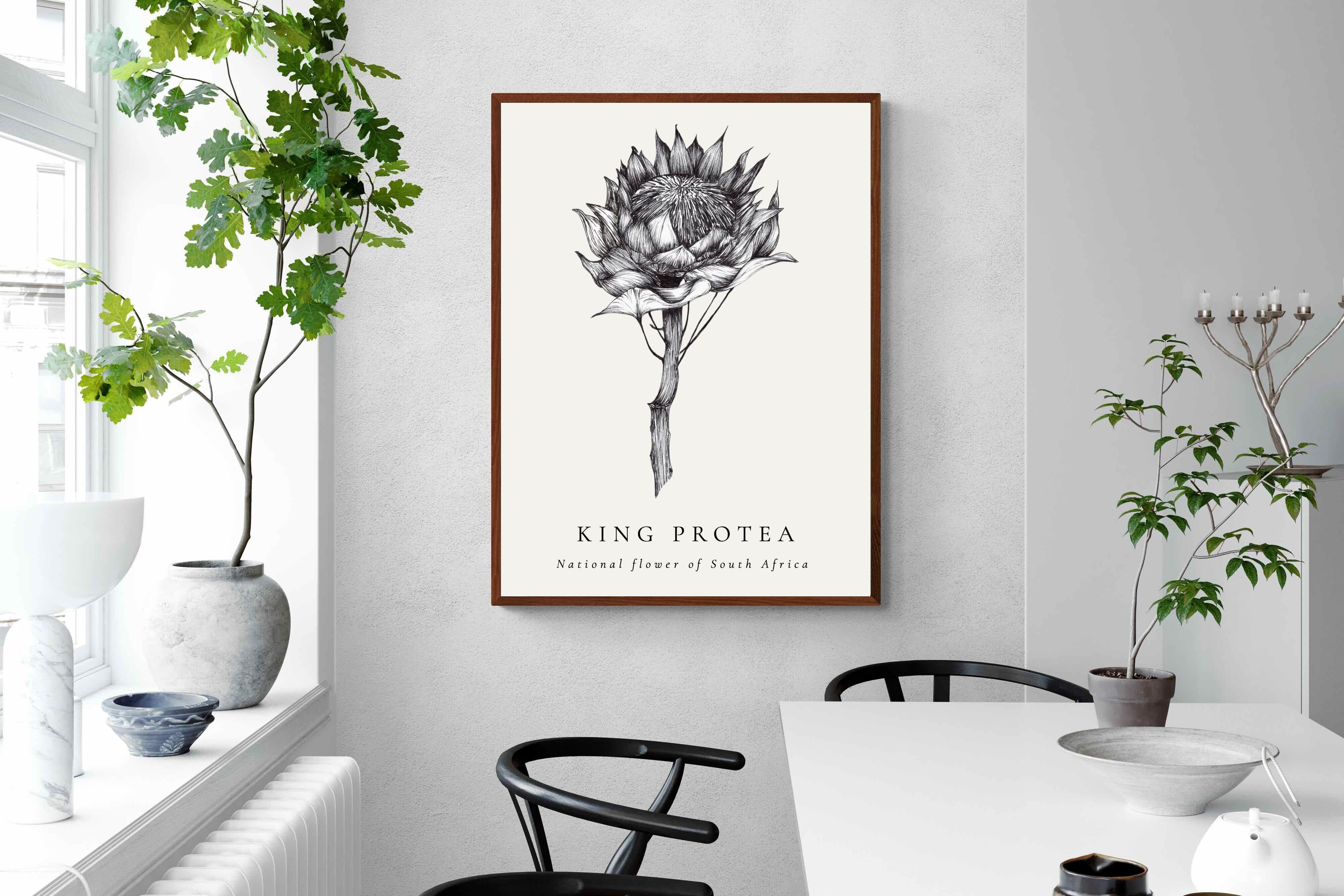 Pixalot ® King Protea Illustration
